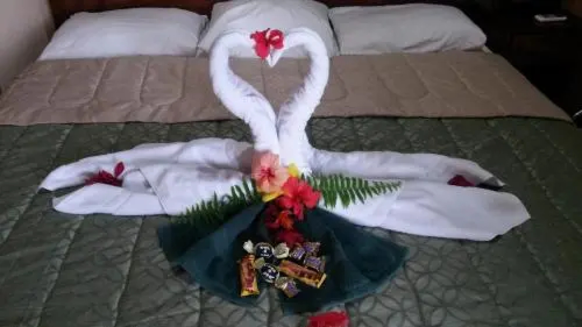 Mar y Selva Ecolodge