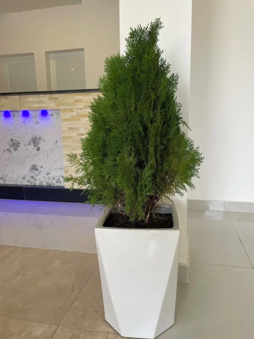 Season Inn Hotel Apartment by Duqm