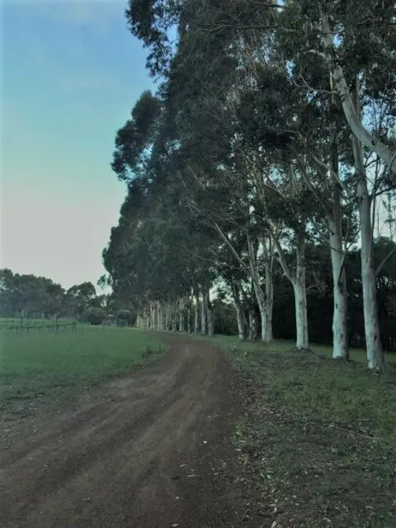Harmony Forest Lake Side Lodge