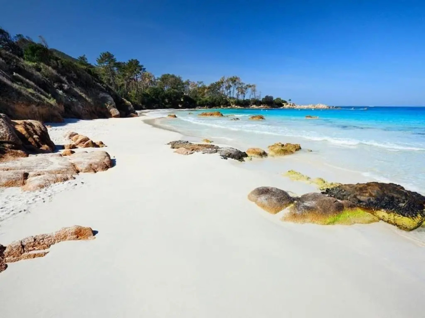 T2 Porticcio Agosta Plage 100m de la Plage