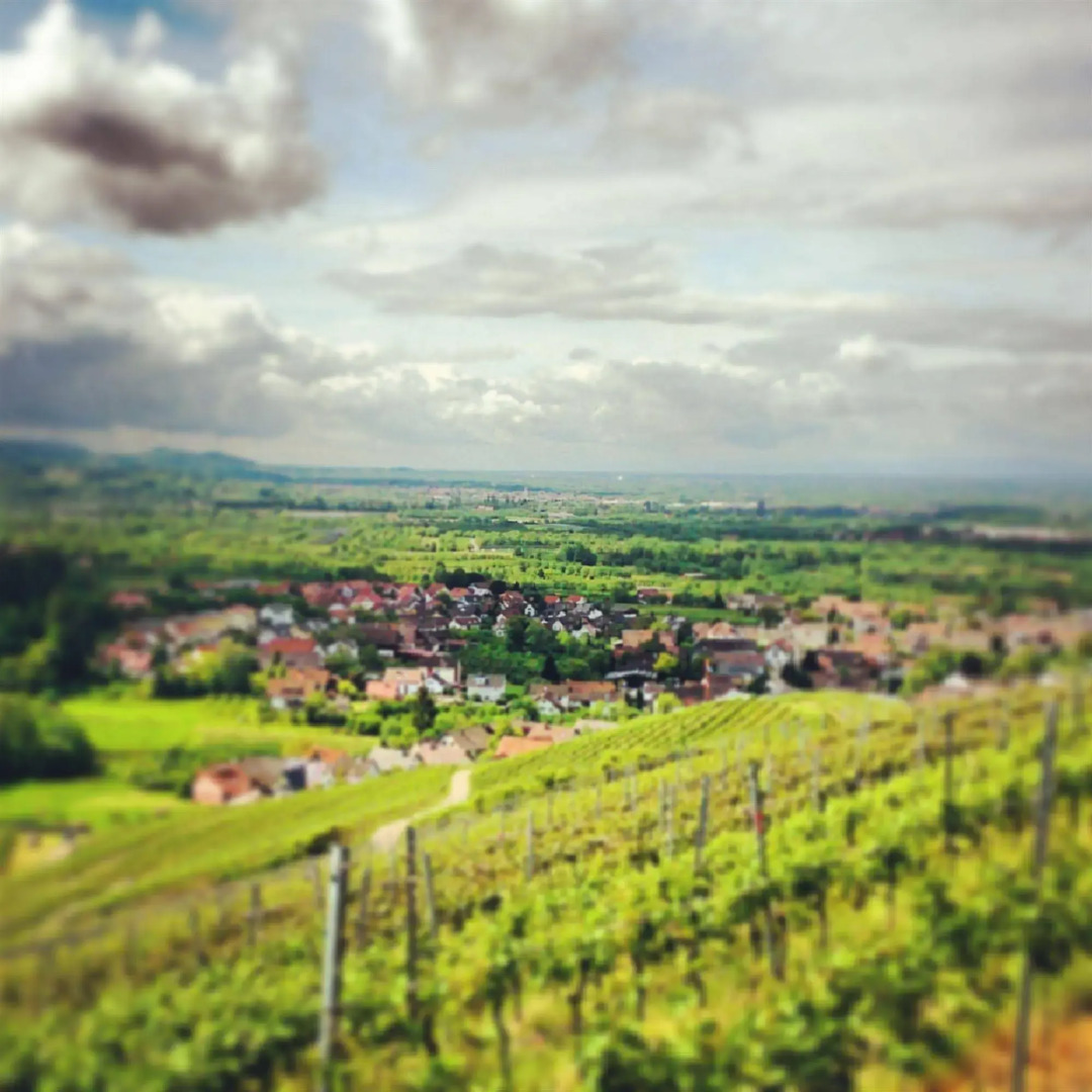 Pflugwirts Hotel und Gasthaus