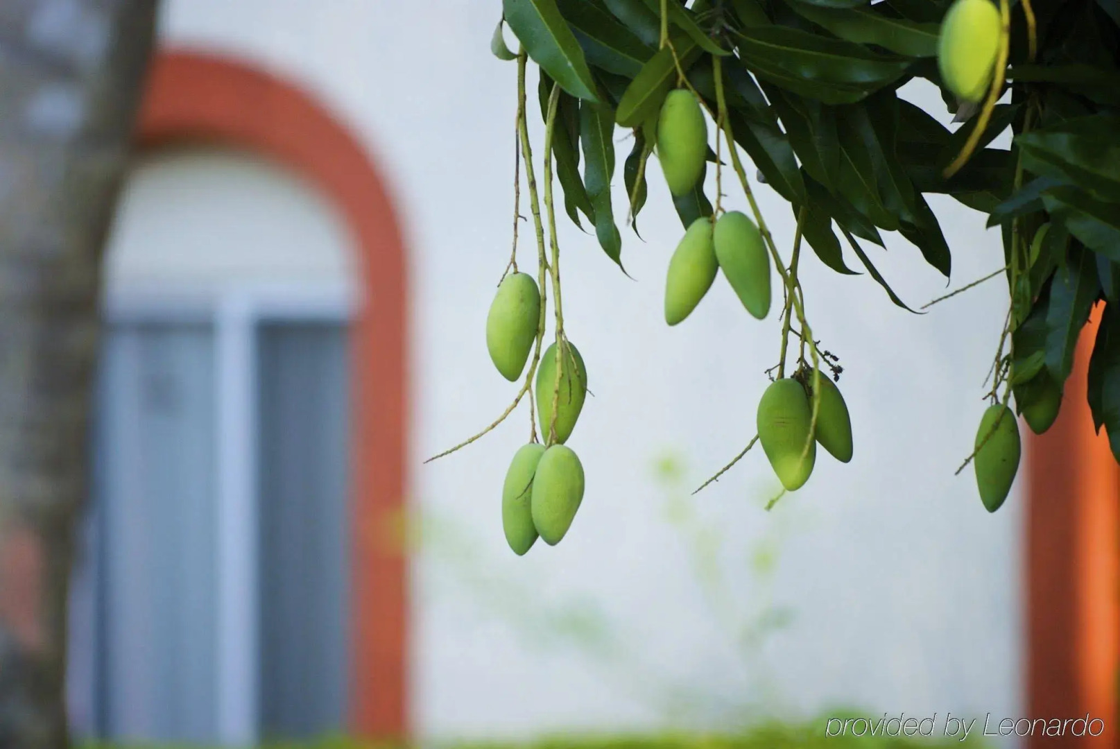 Villas Arqueologicas Chichen Itza