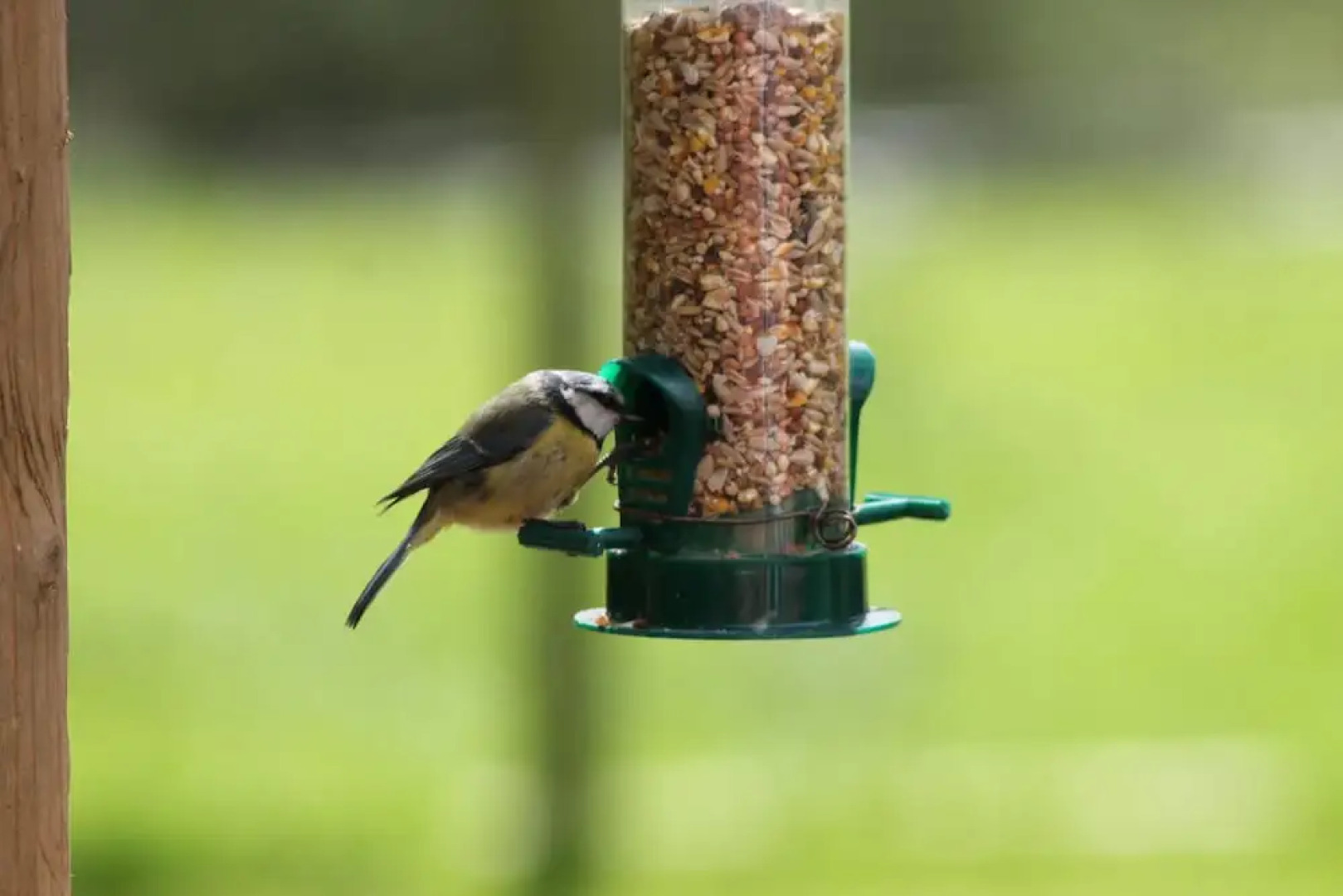 Colston Hall Cottages