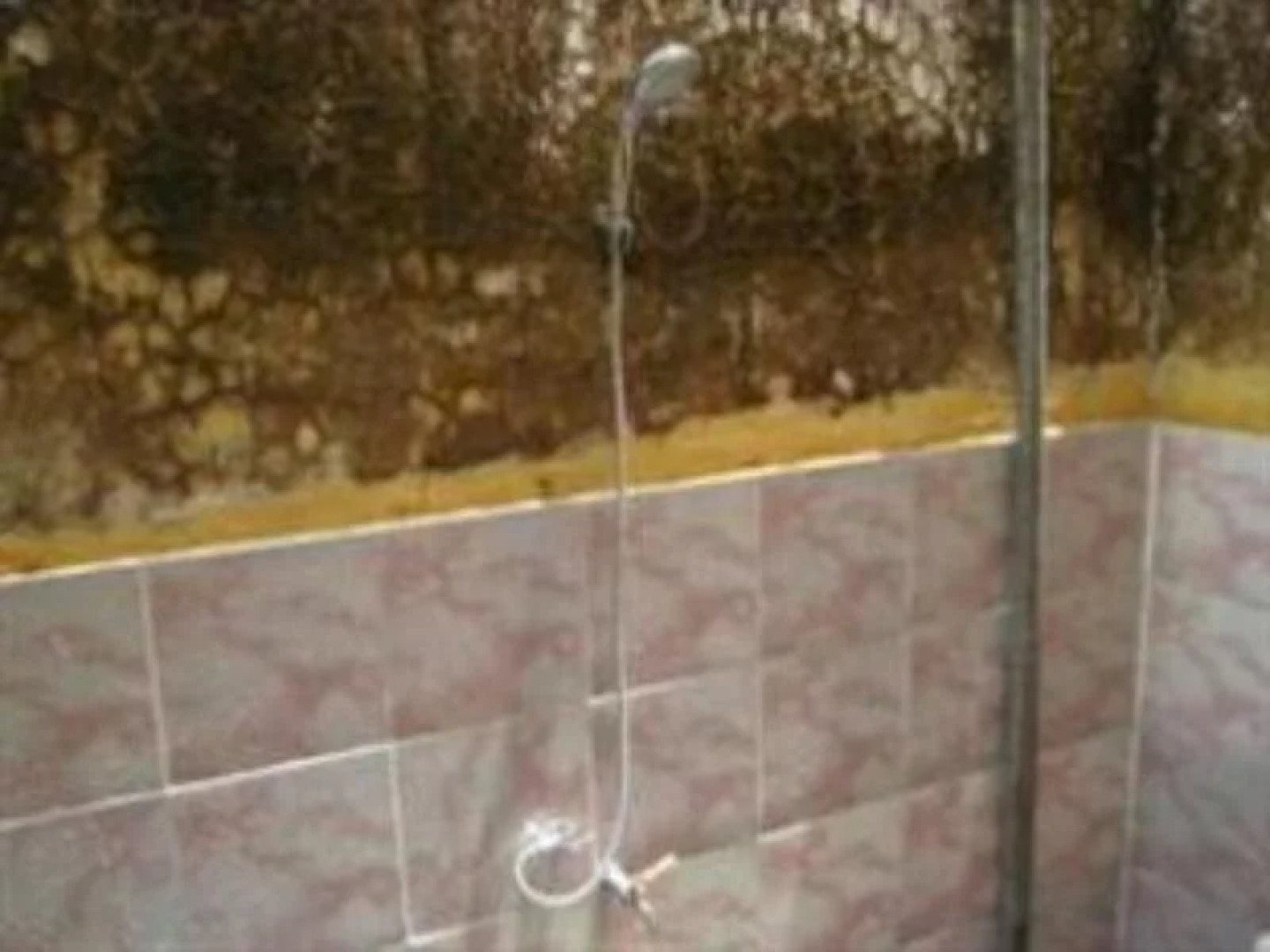 Maria Guest House And Trekking Organizer