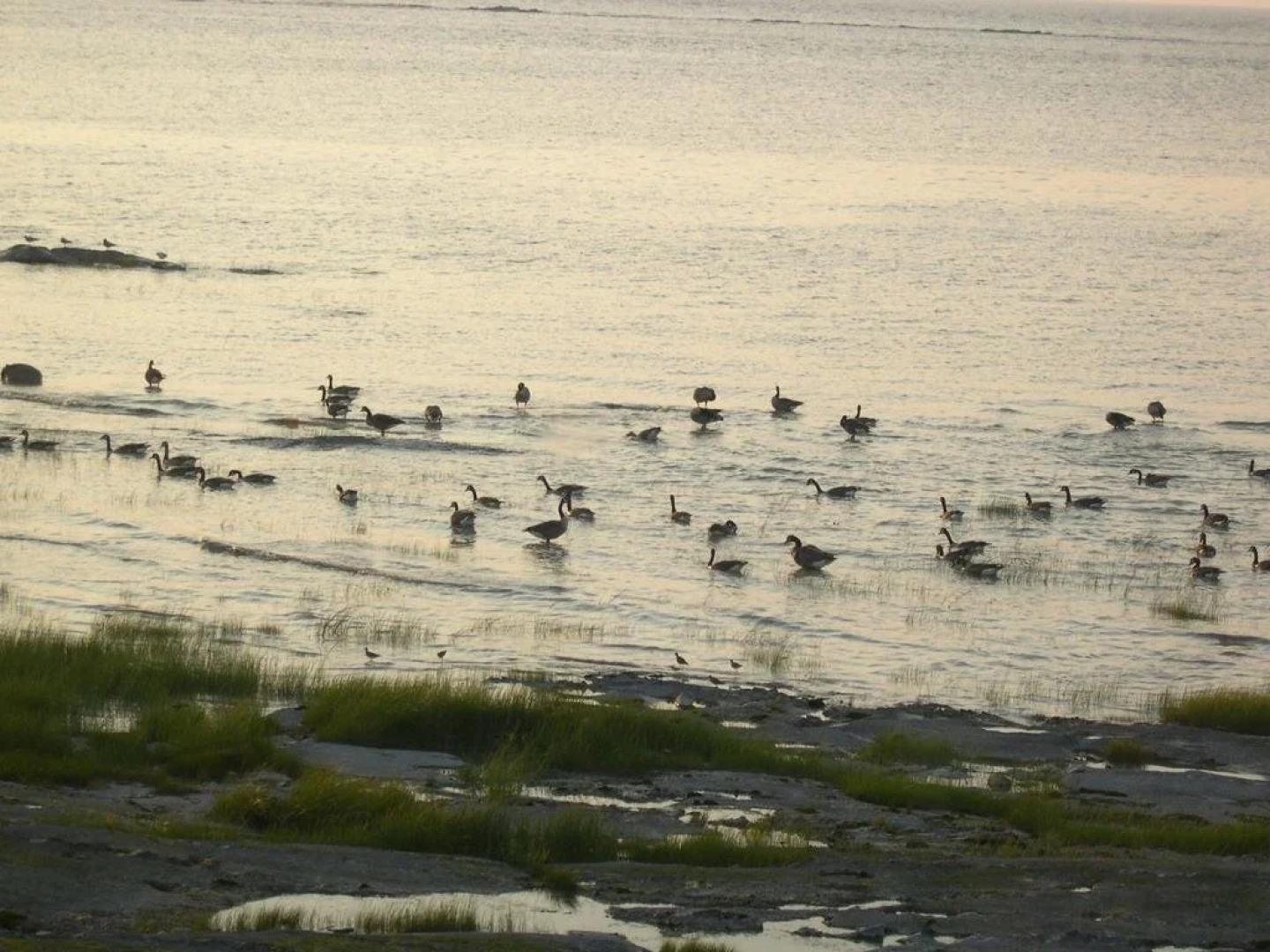 Gîte les pieds dans l'eau B&B