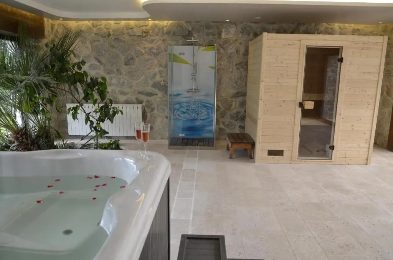 Appartements avec piscine et SPA