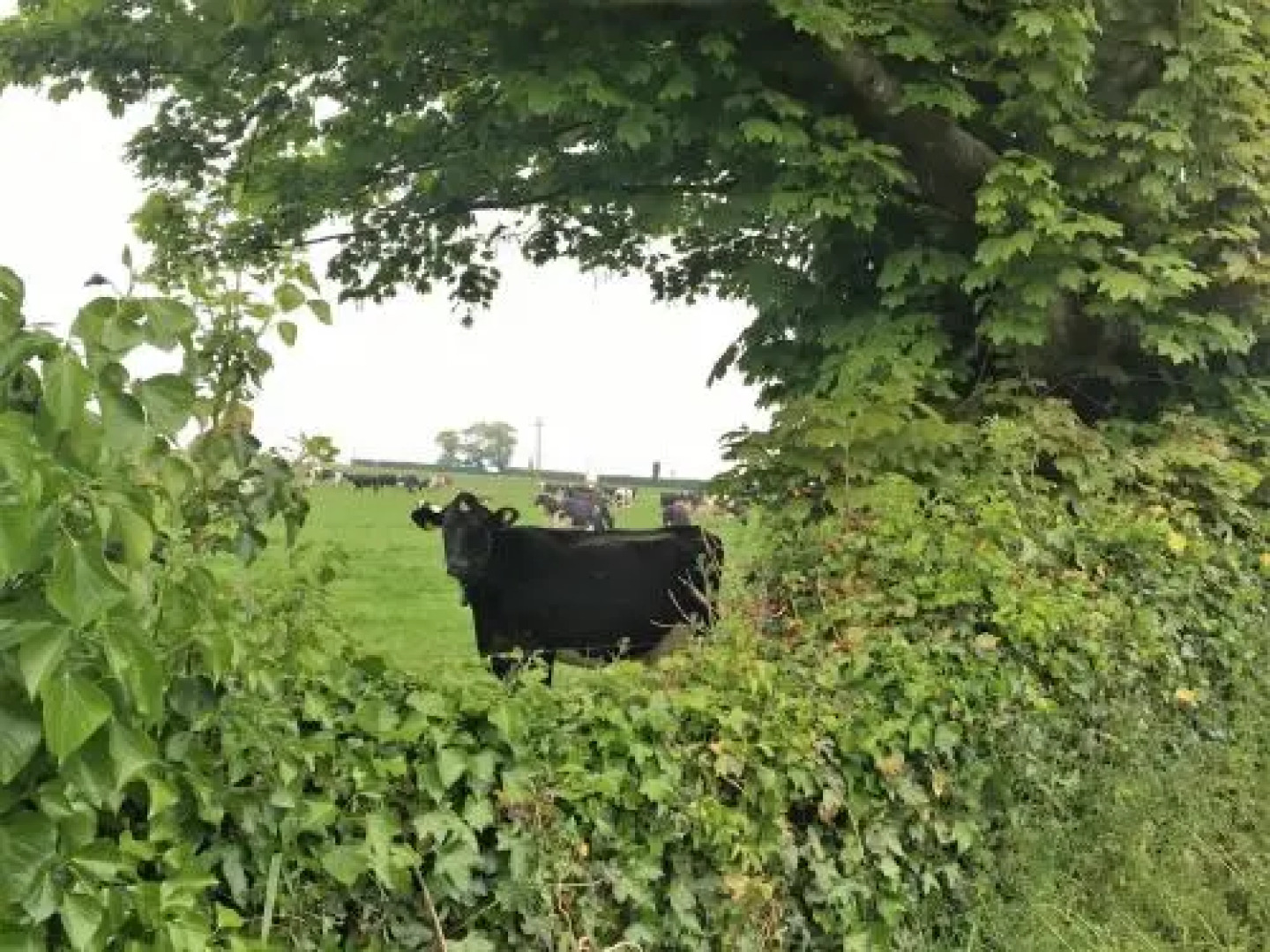 Park South Bed and Breakfast