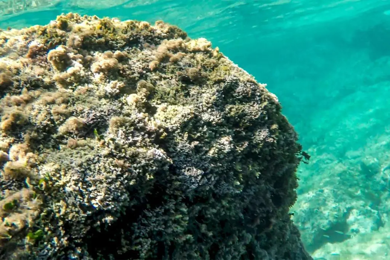 Villa Salentina Con Piscina Vicina Al Mare M250