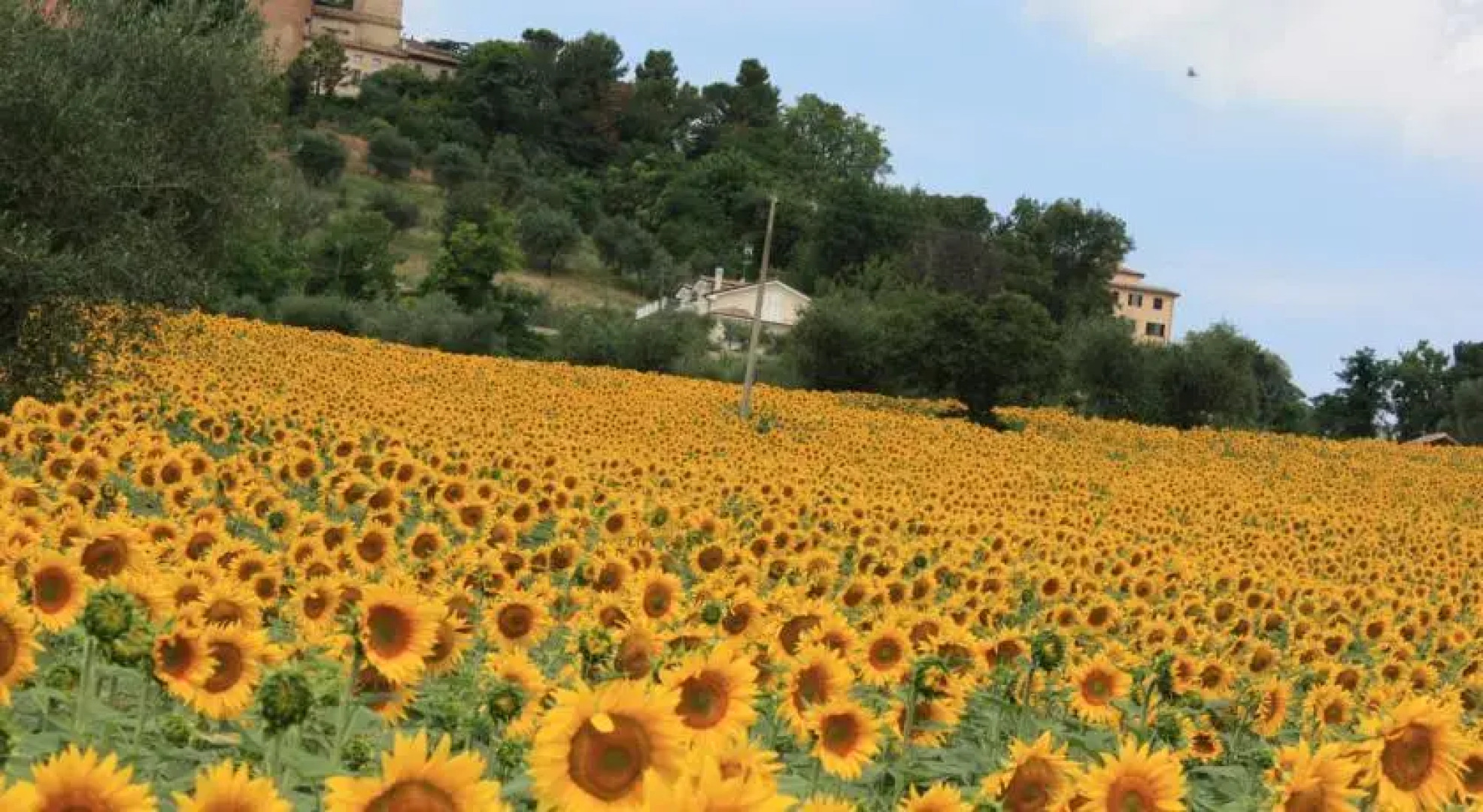Il Borghetto di Sotto