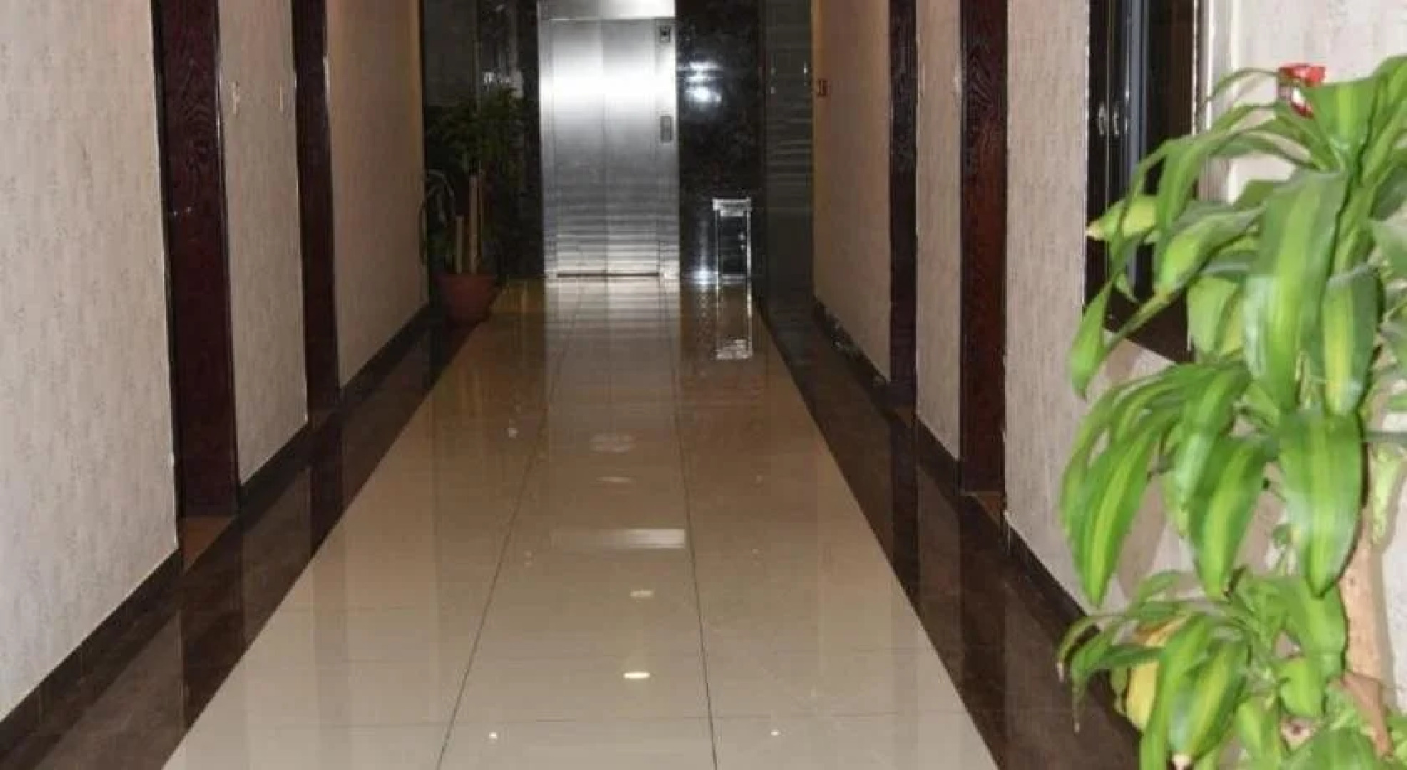 Nafa Suite Apartment 2