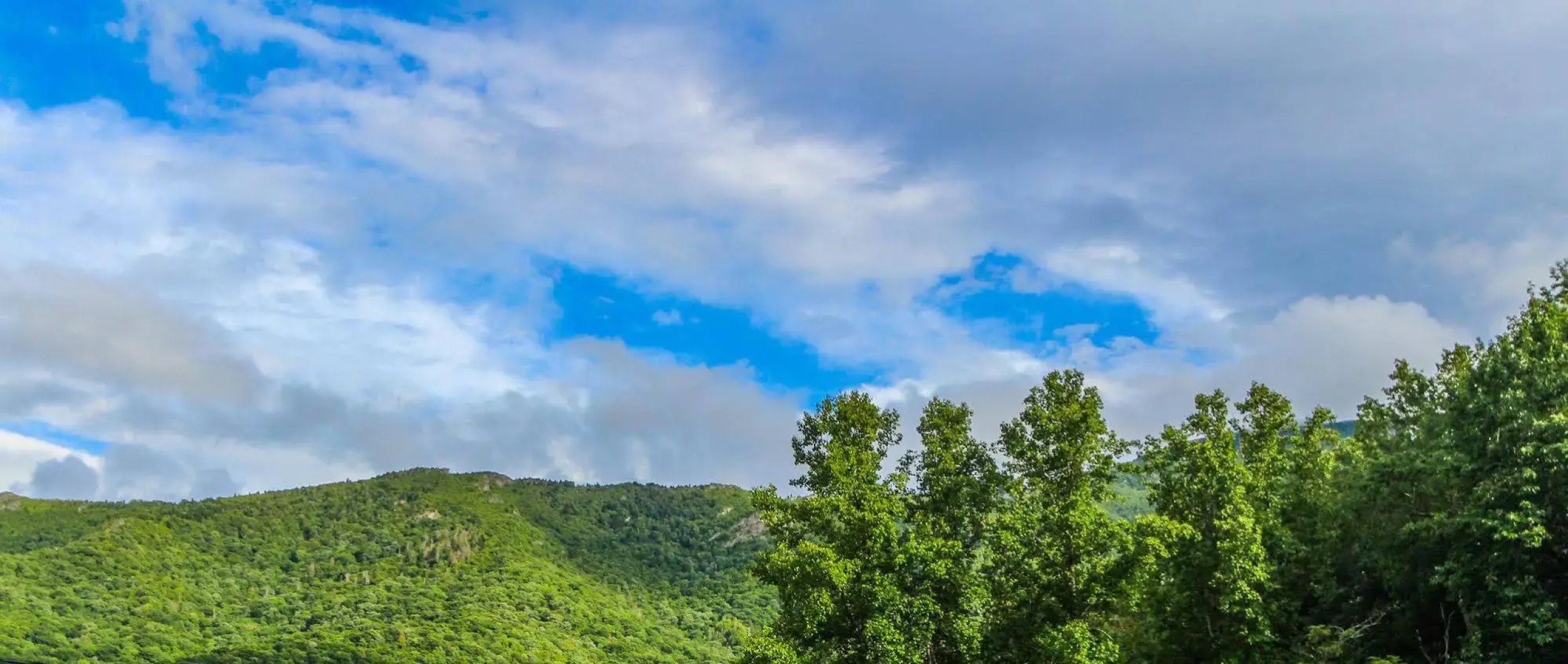 Smoketree Lodge by VRI Resort