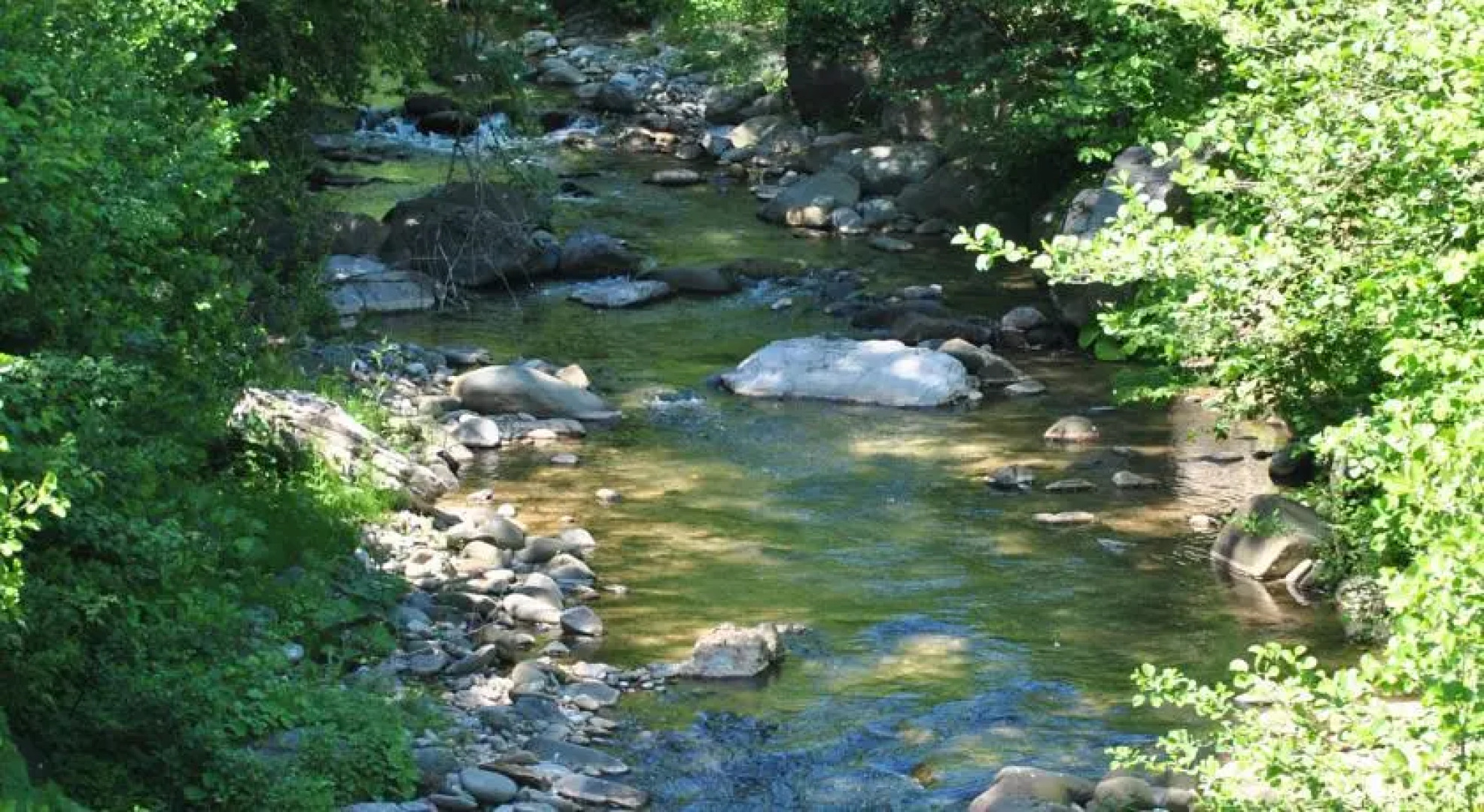 Mozzanella Holiday Home in Garfagnana