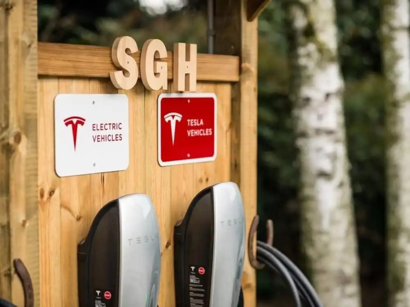 San Giacomo Horses & Agriturismo