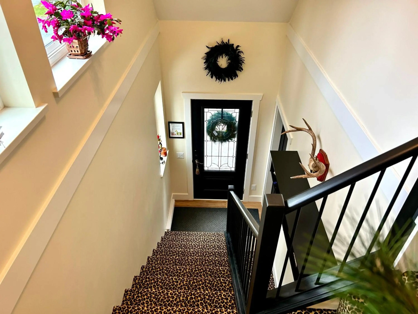 Seagull Studio Vacation Guest Suite