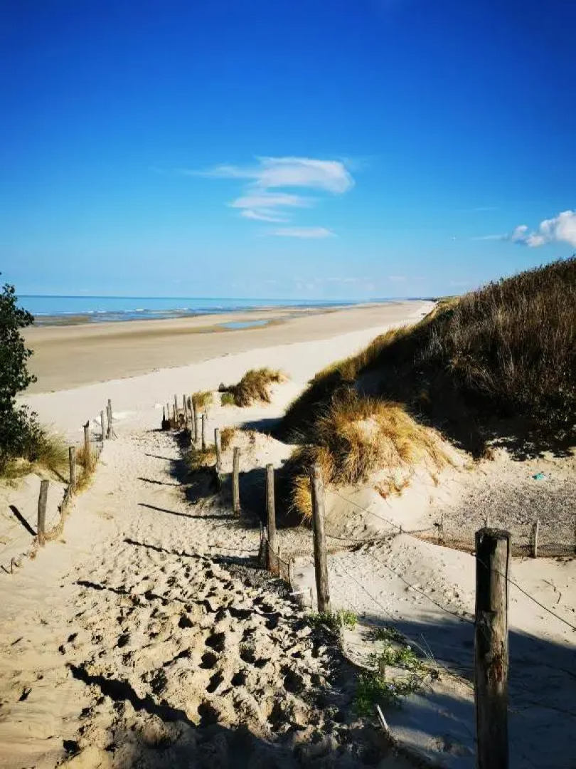 Appartement Le bord de plage