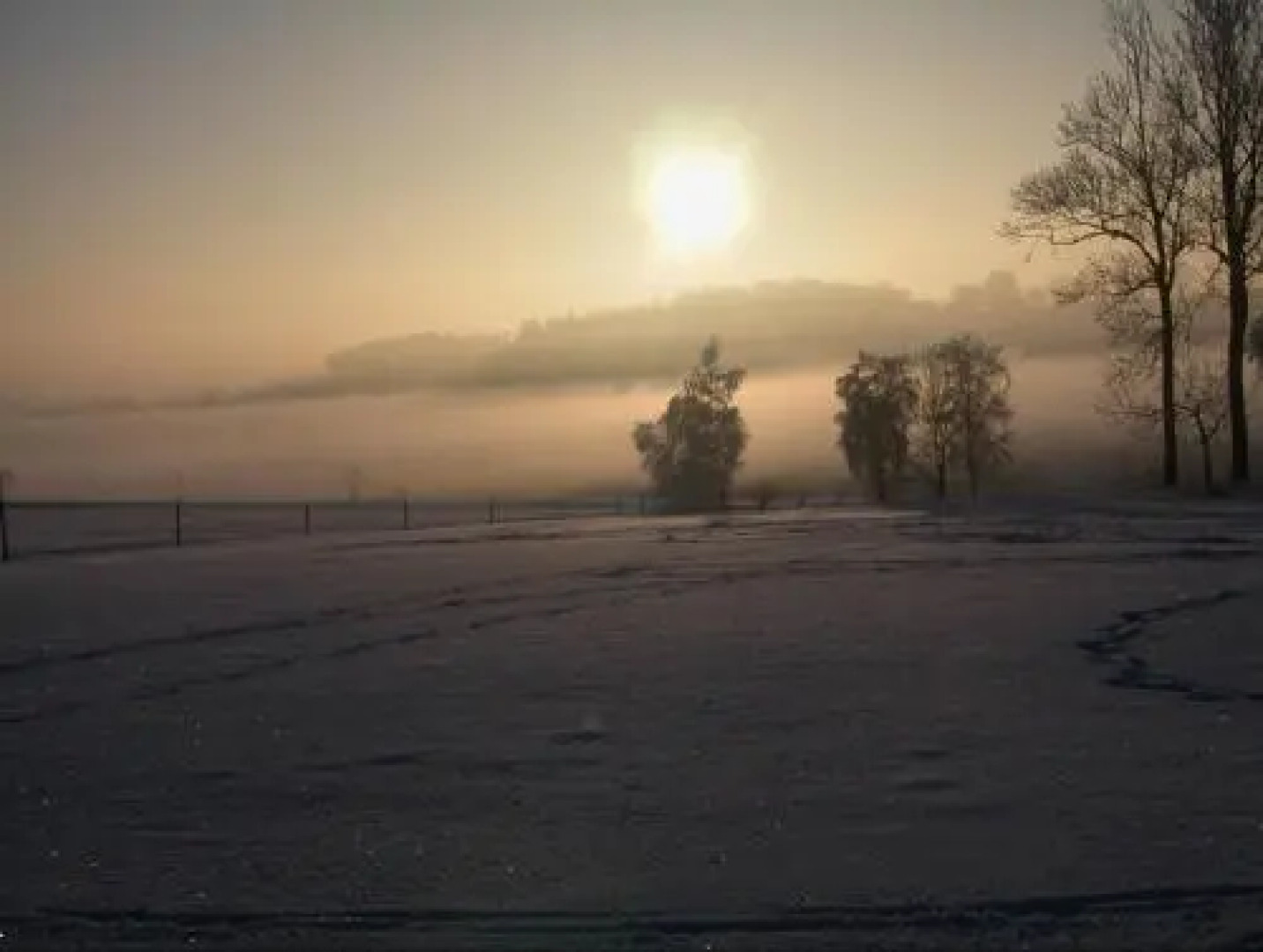 Bio Ferienhof Erzengel