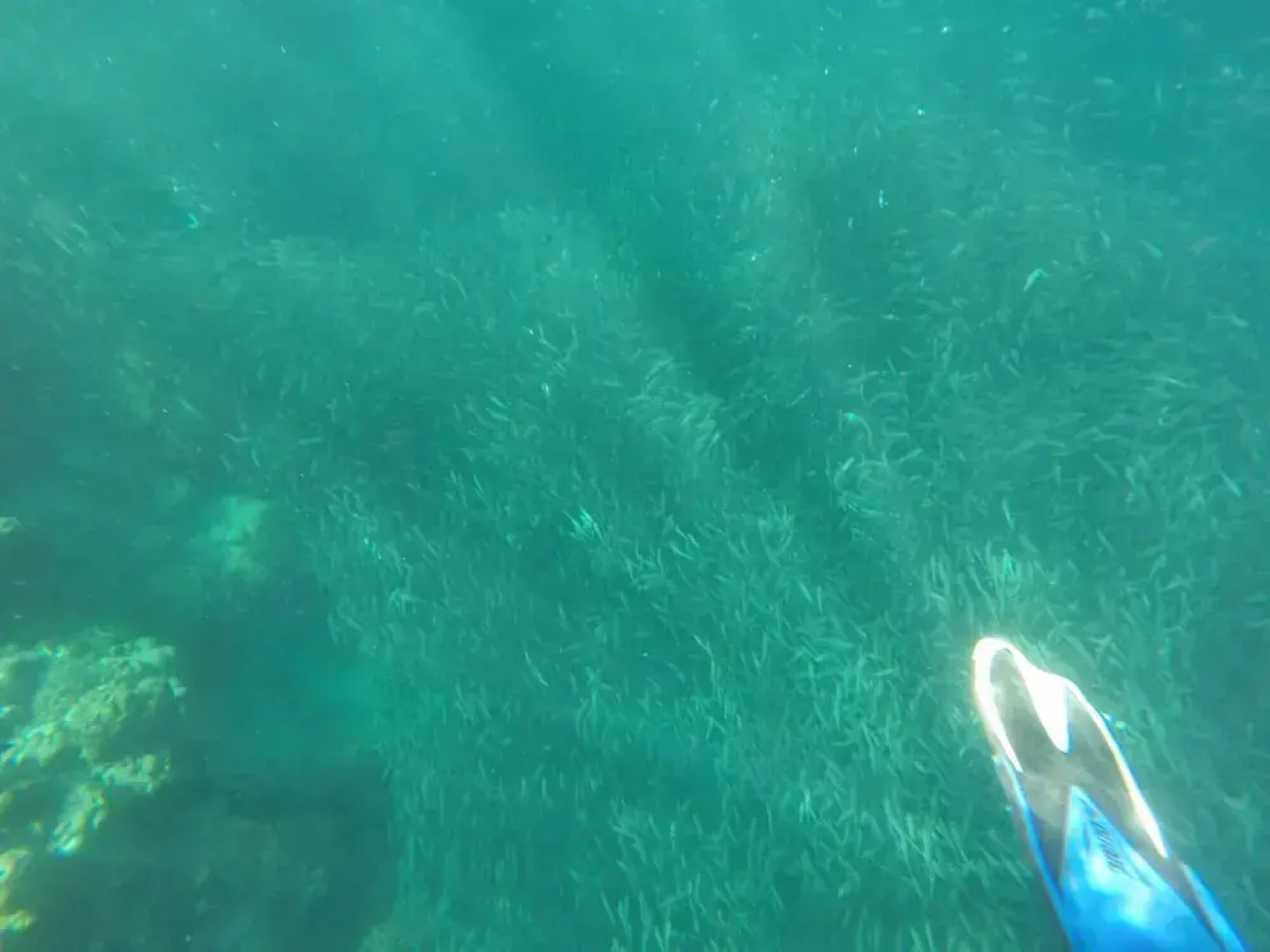 Alegria Water Front Beach House