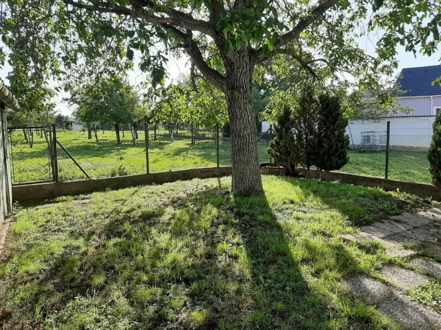 Peter's Montagezimmer