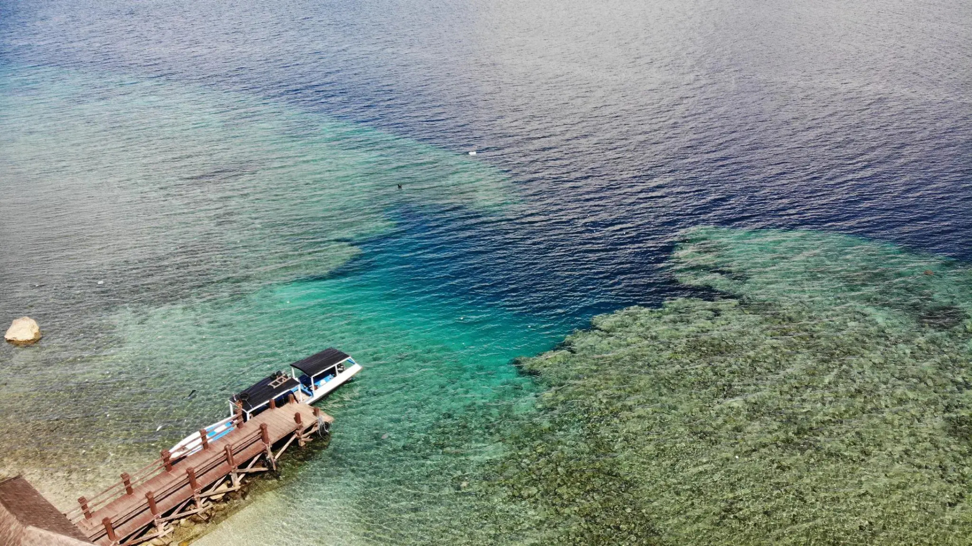 Made Taro - Menjangan Homestay