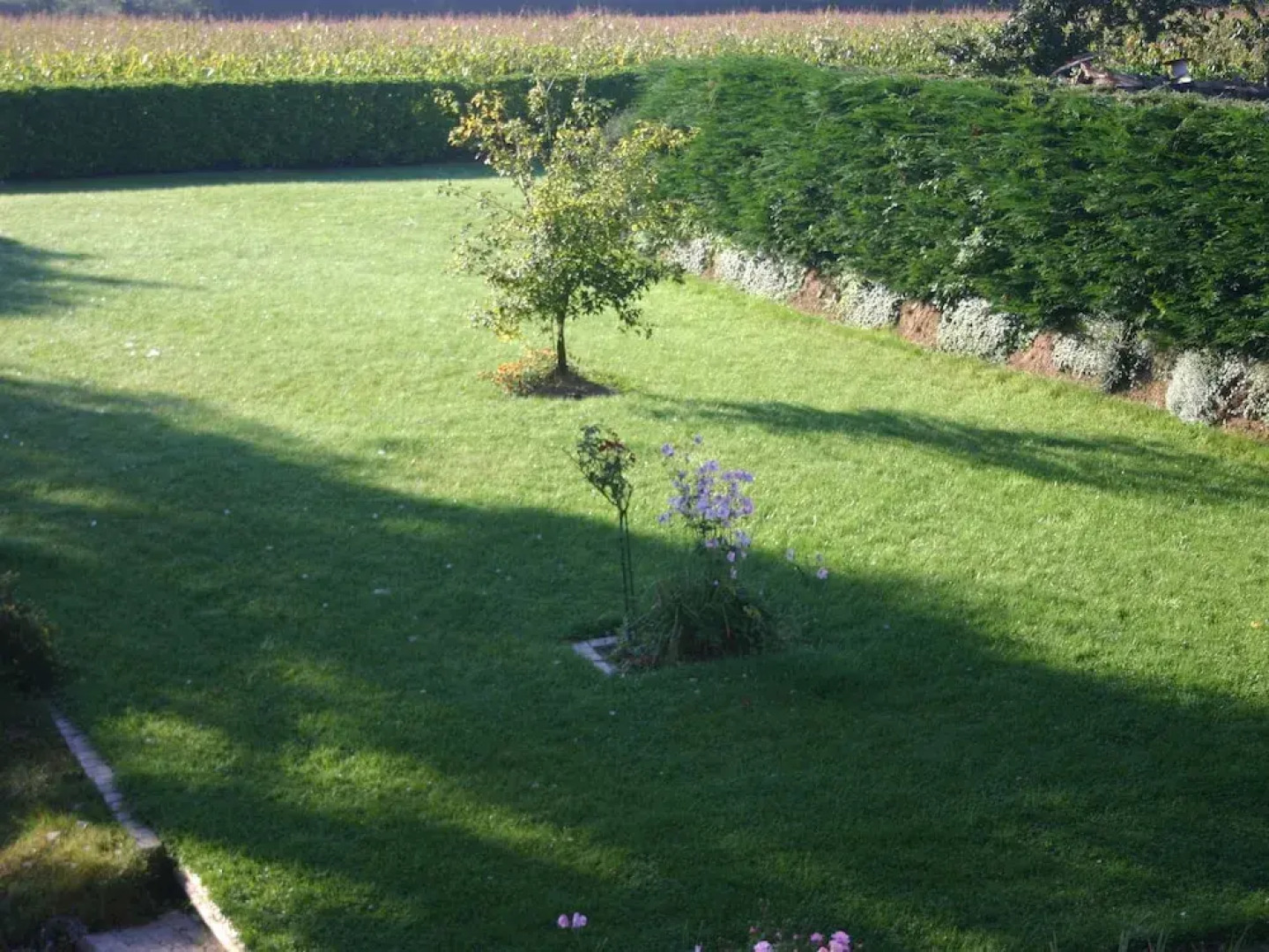 Cozy Holiday Home in Bolleville With Terrace