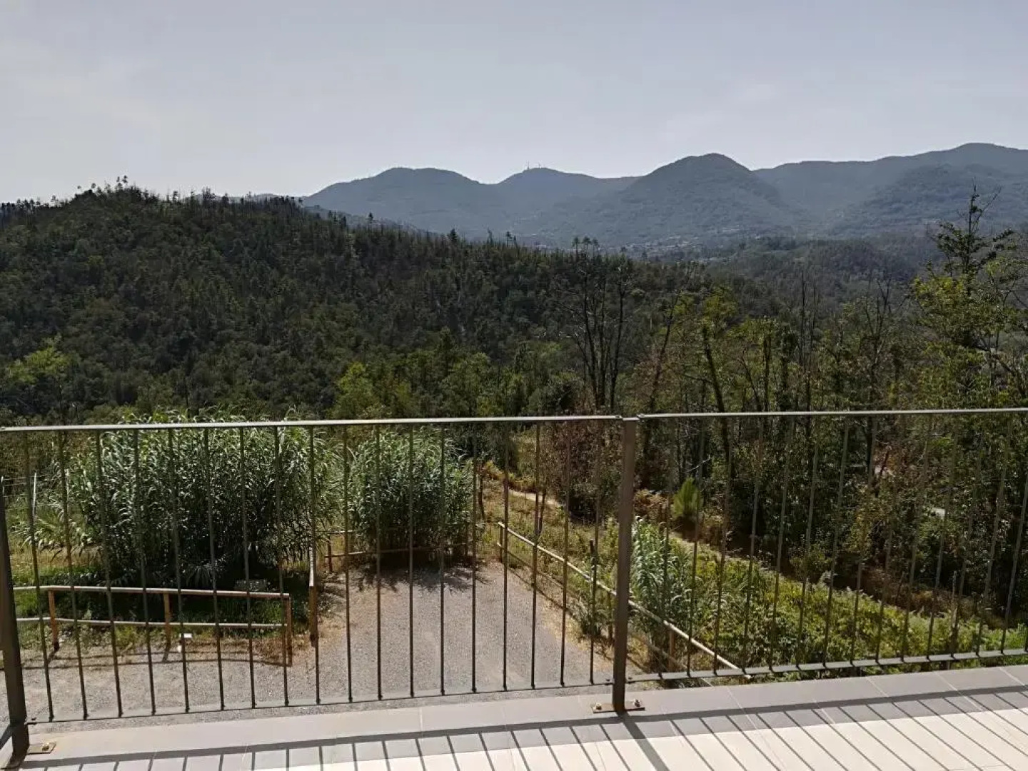 Agritusimo I Gelsi E I Castagni