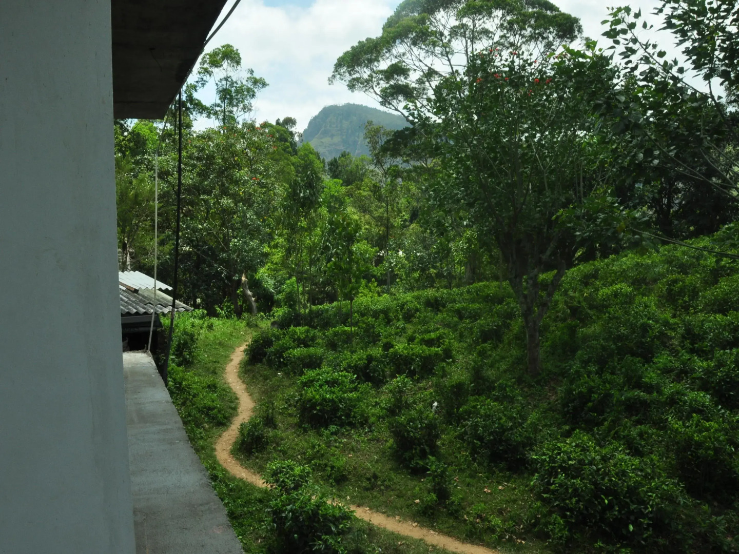 Shadow Inn Guest House