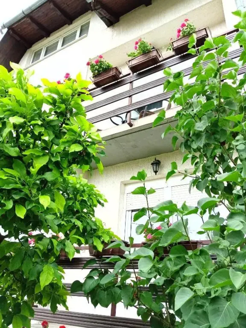 Apartment At Granny and Grandpa