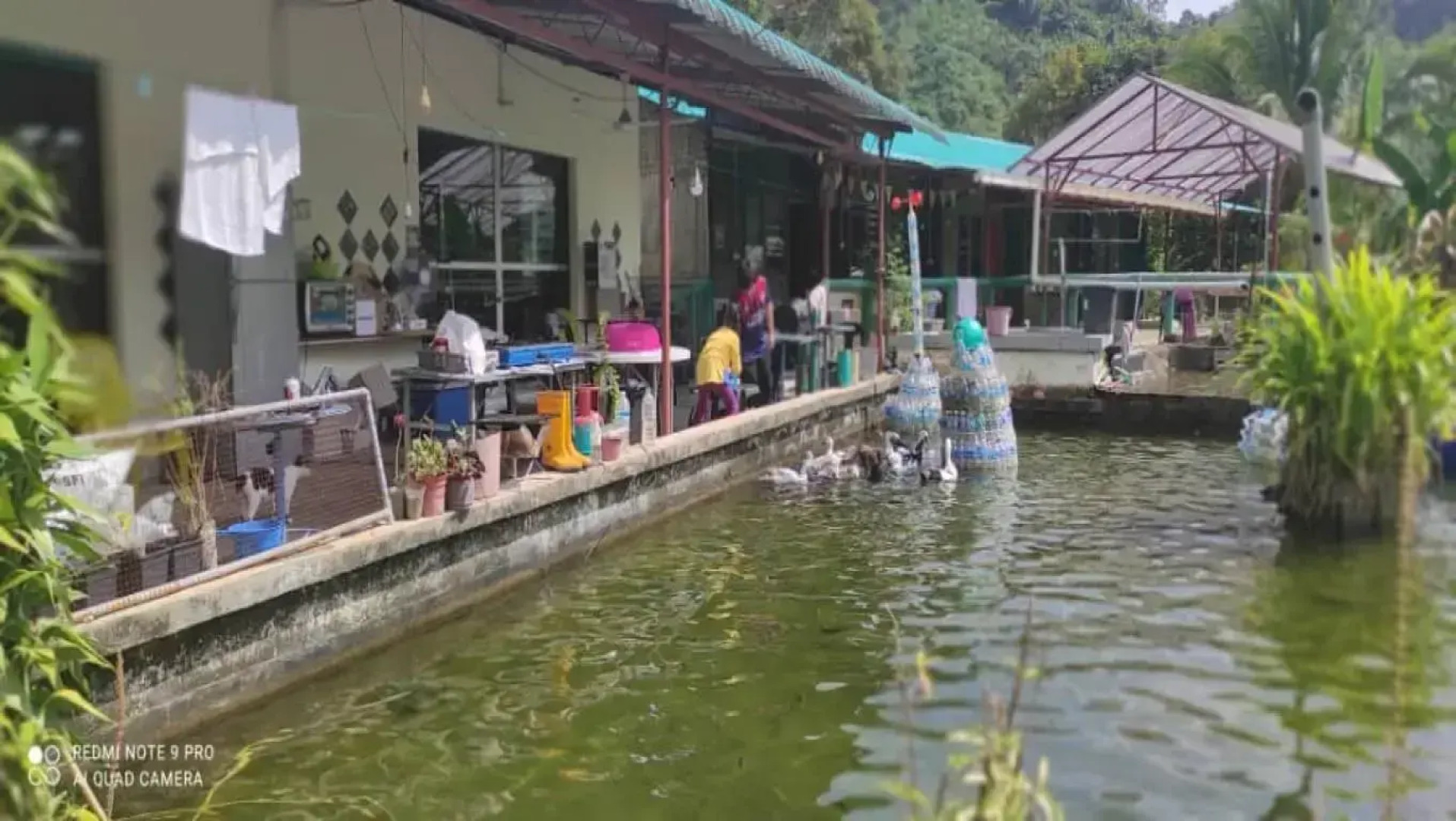 Kinabalu Poring Vacation Lodge