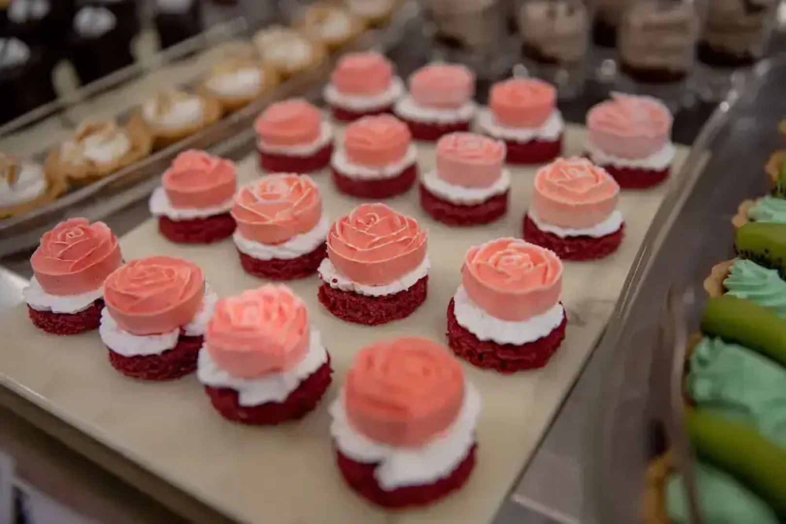 The Gaurs Sarovar Premiere