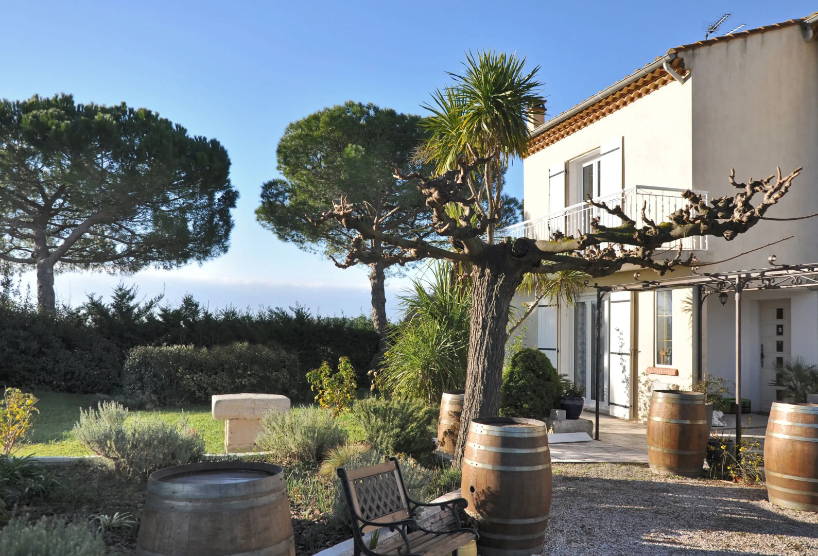 A l'orée des vignes