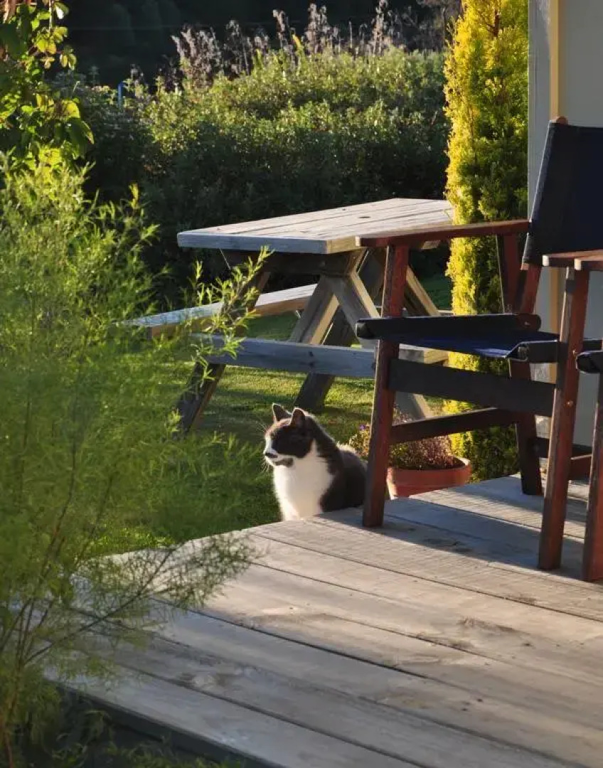 Blue Thistle Cottages