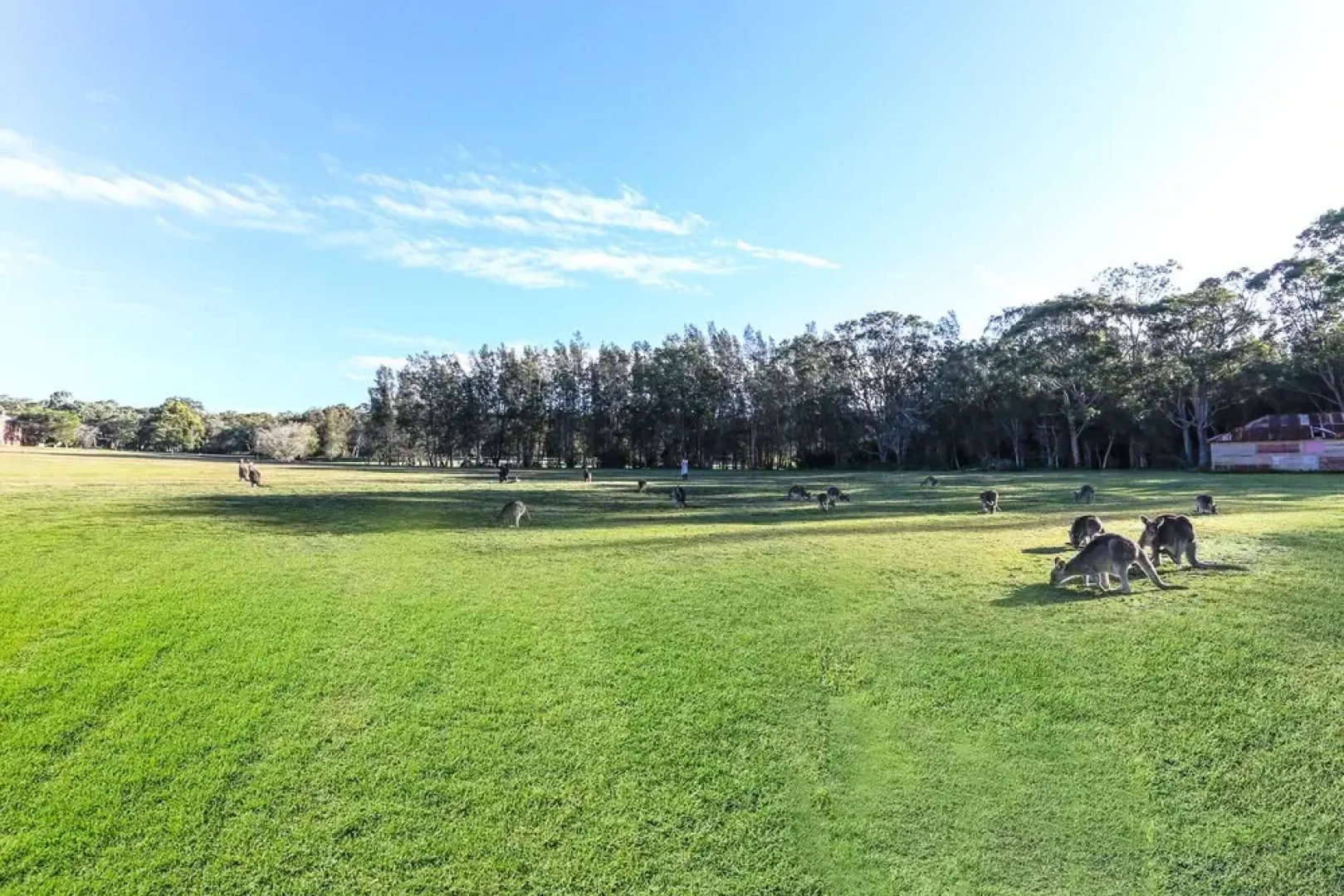 Morisset Park - 2 Bed