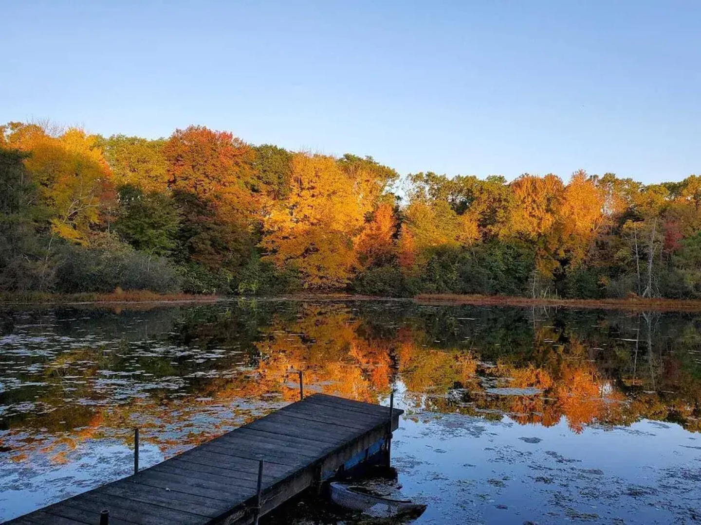 Comfort Suites Foxfire
