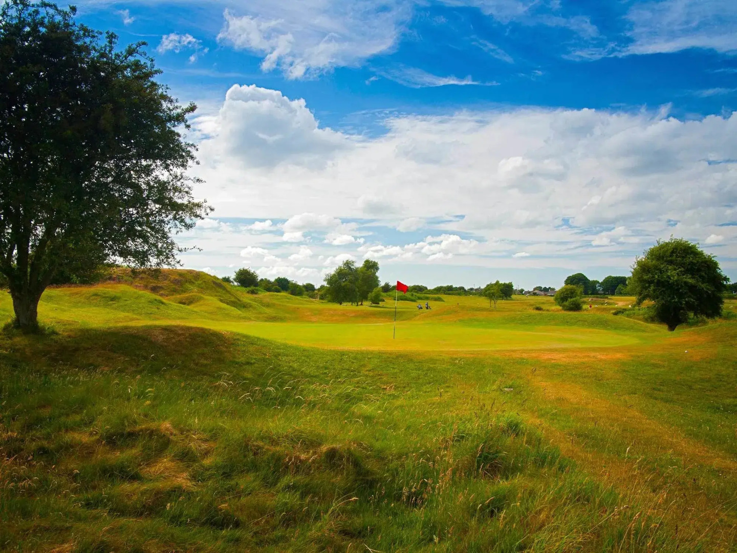 Springfield Hotel and Restaurant