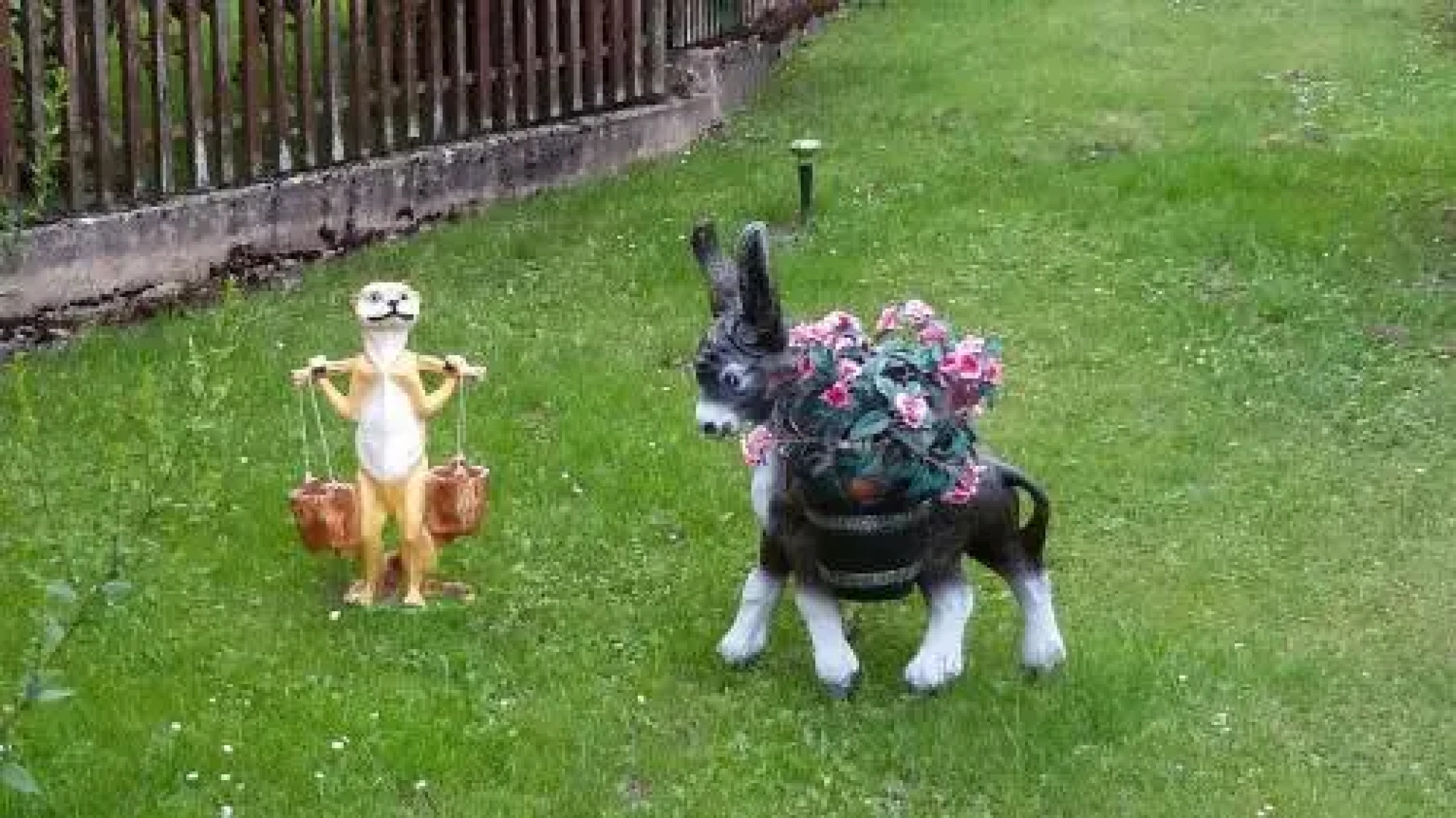 Luisengarten Pension Garni