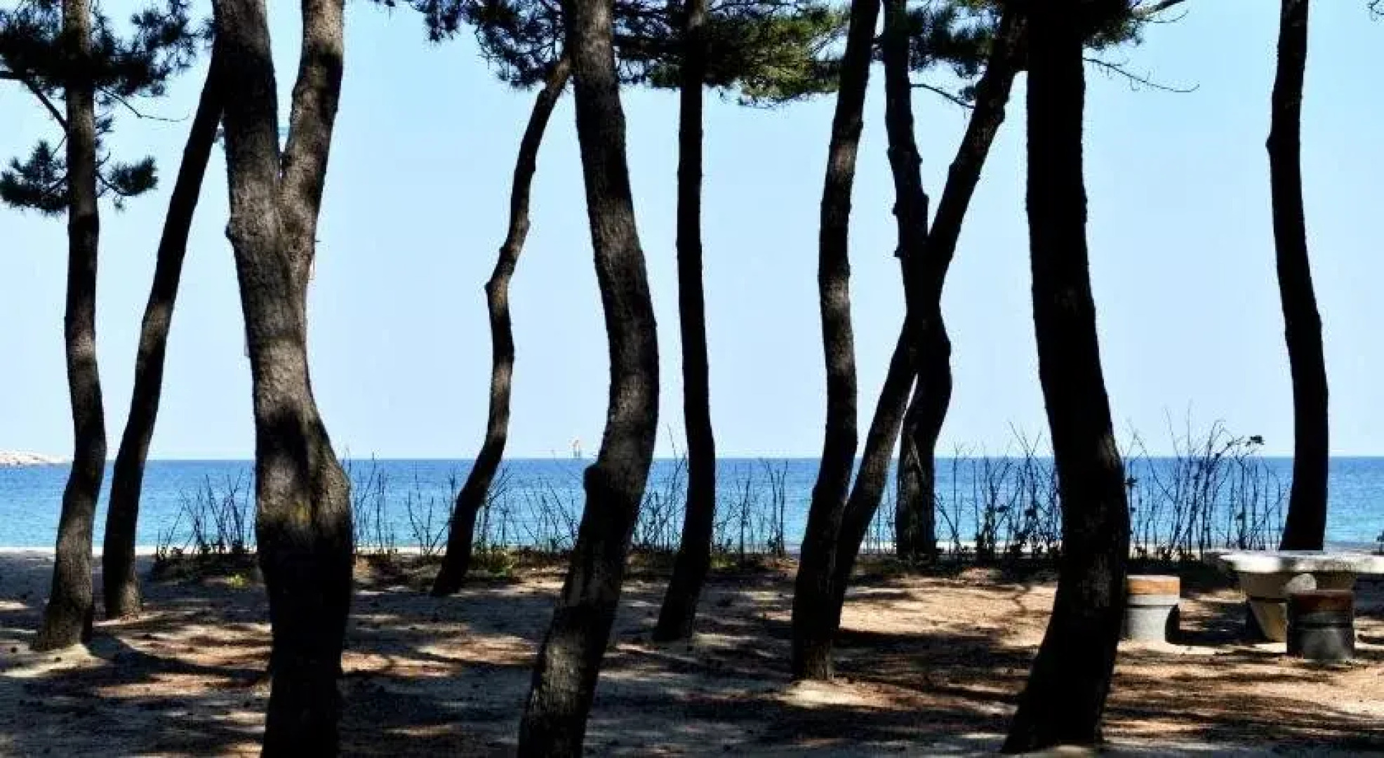 Sokcho HJ House Pension