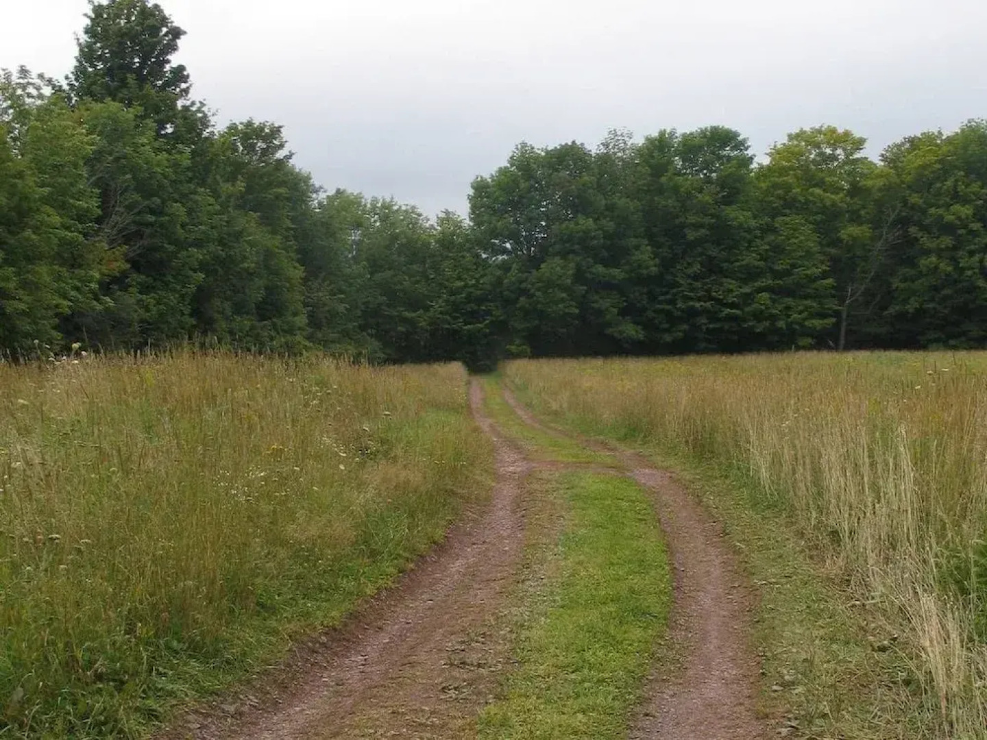 Tentrr - Summerhaven Camp