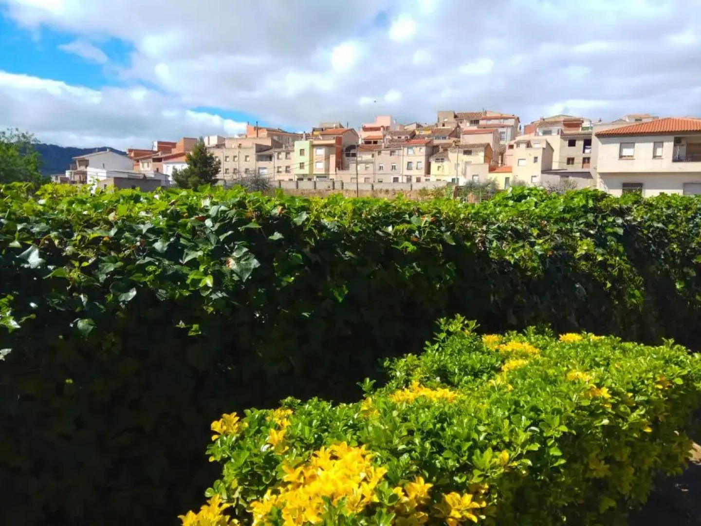 Casa Rural "Doña Martina"