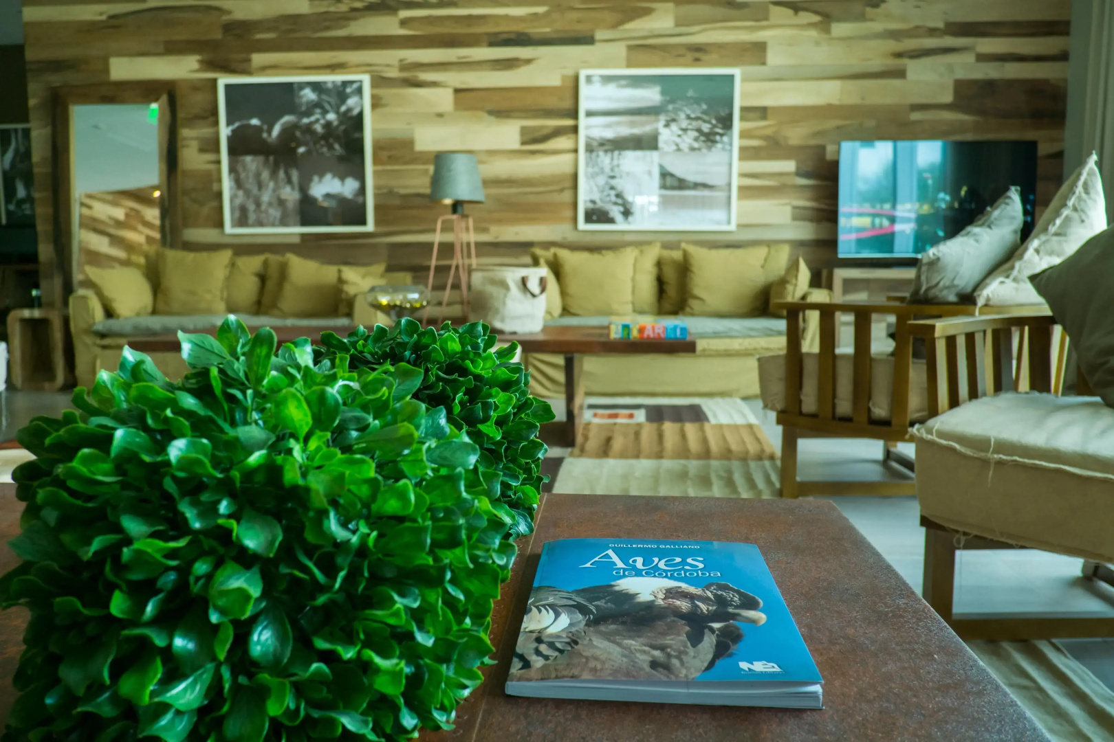 Orfeo Suites Hotel Sierras Chicas