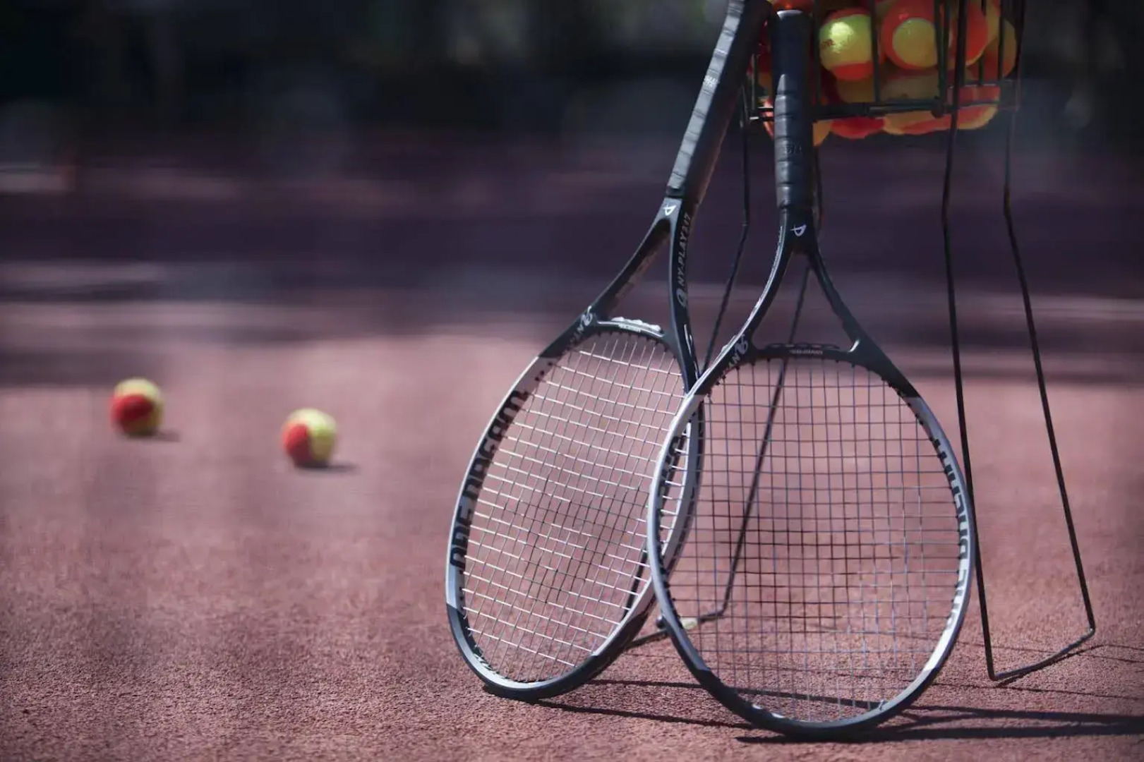 Отель Club & Hotel Letoonia