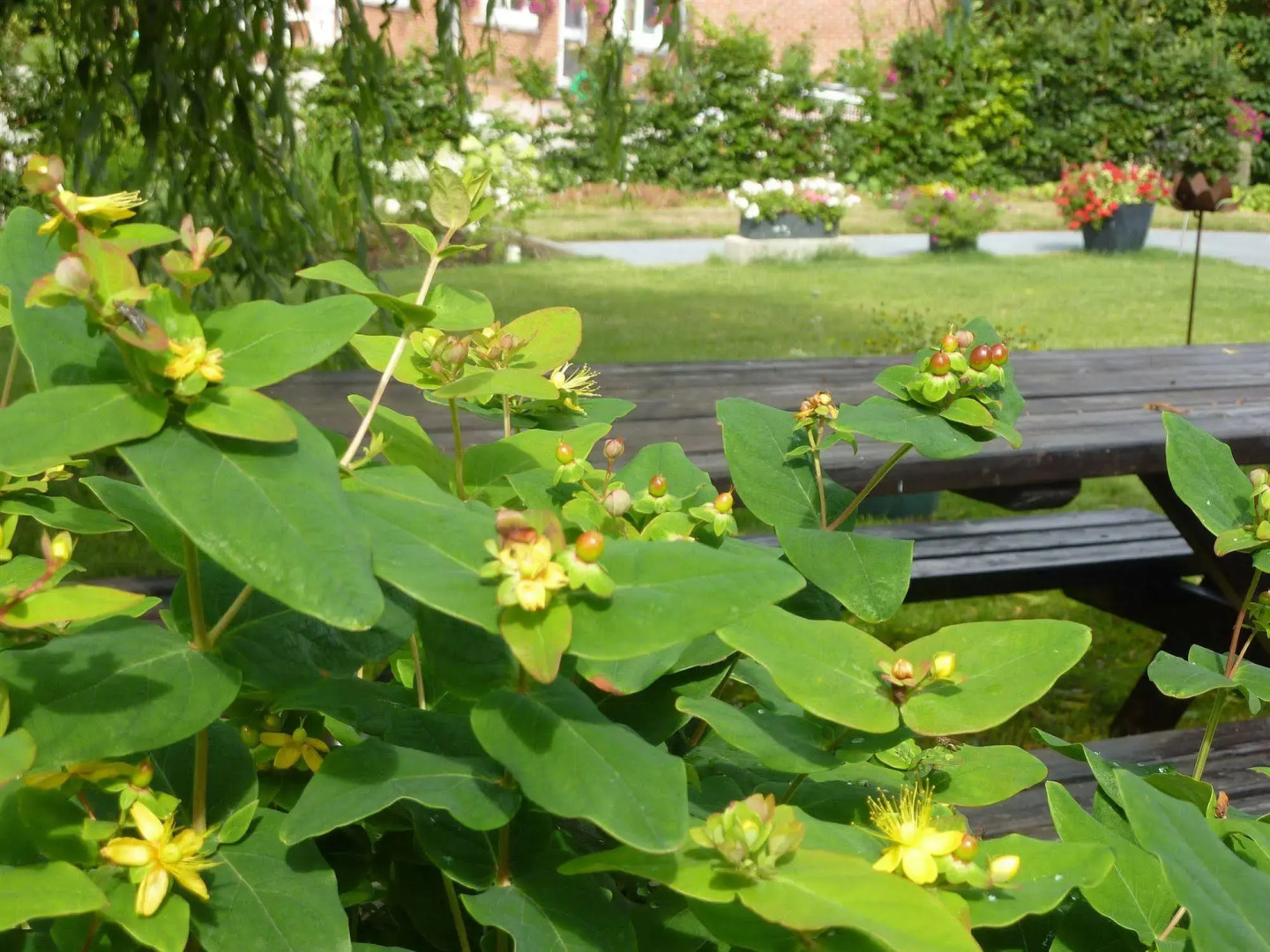 Gastenkamers Offermans