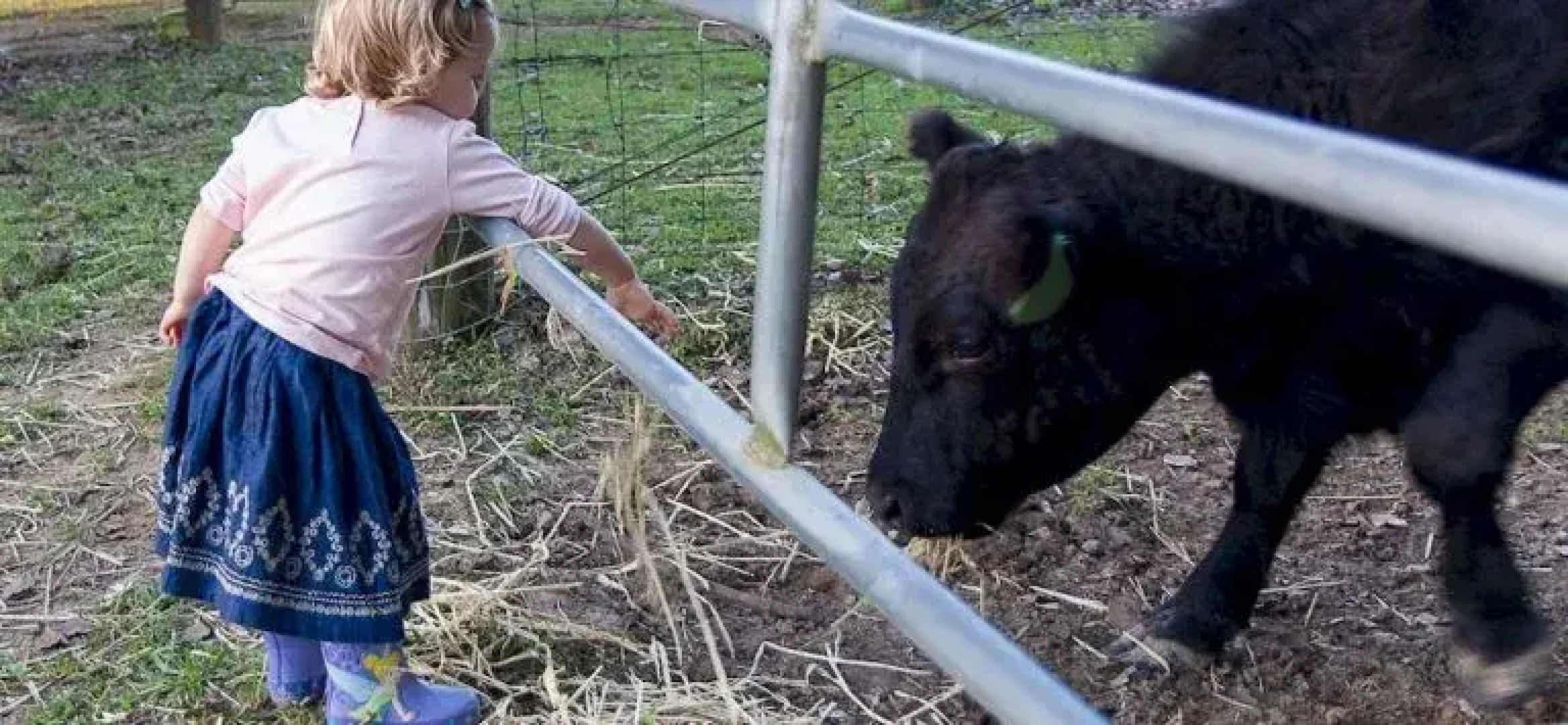 Jacaranda Creek Farmstay & B&B