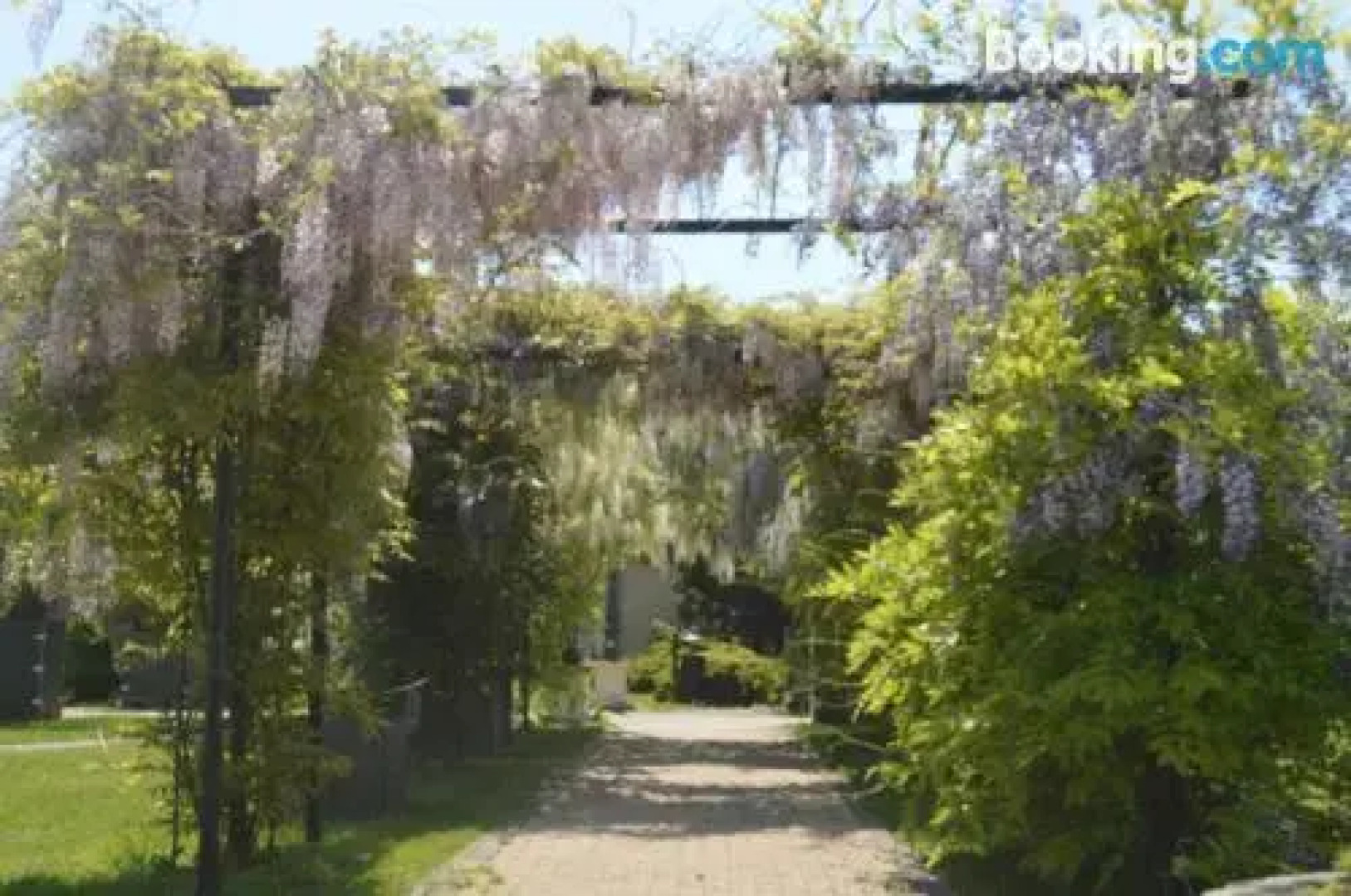 Hotel Venecia Palace