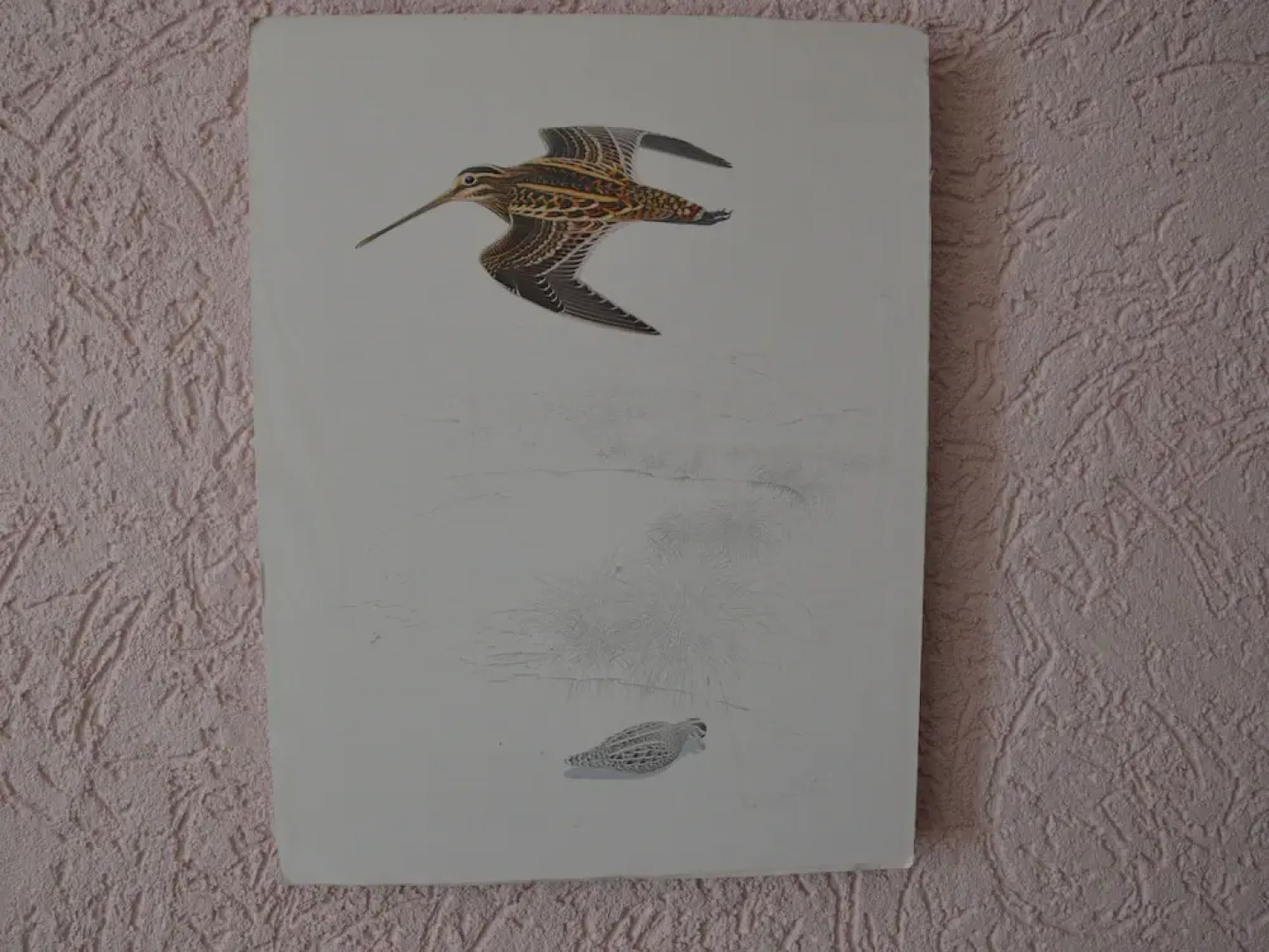 Zum Weissen Rï¿½ssel