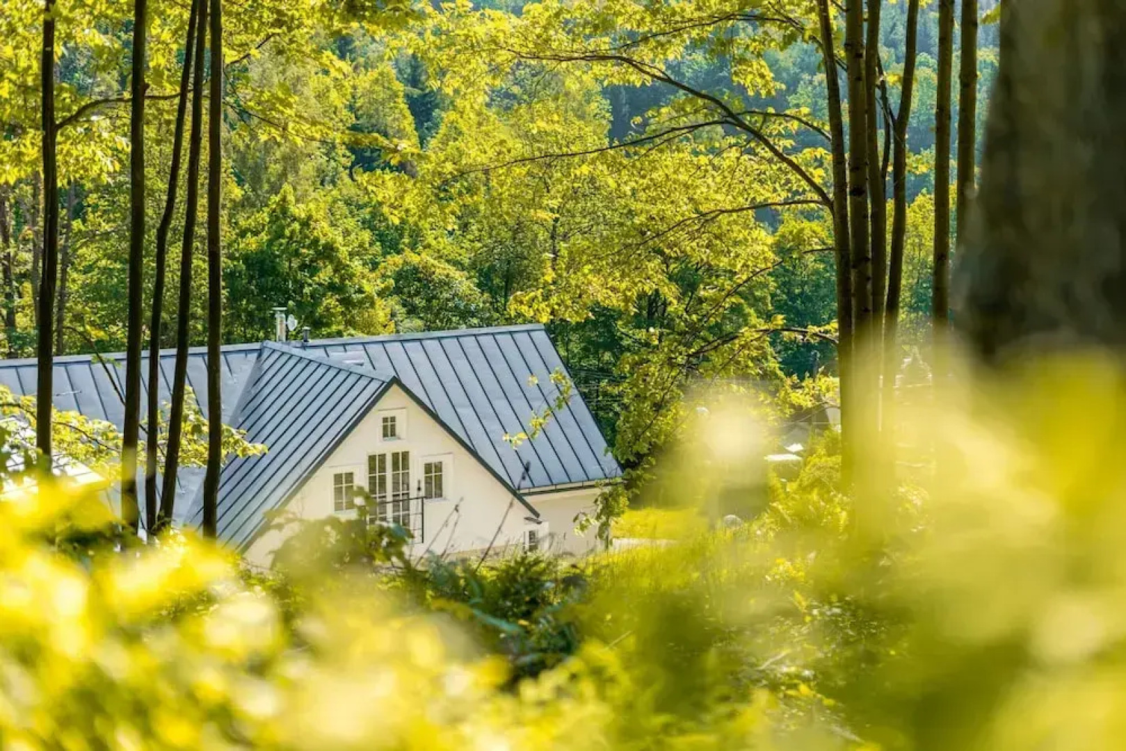 Villa in Bohemia With Sauna