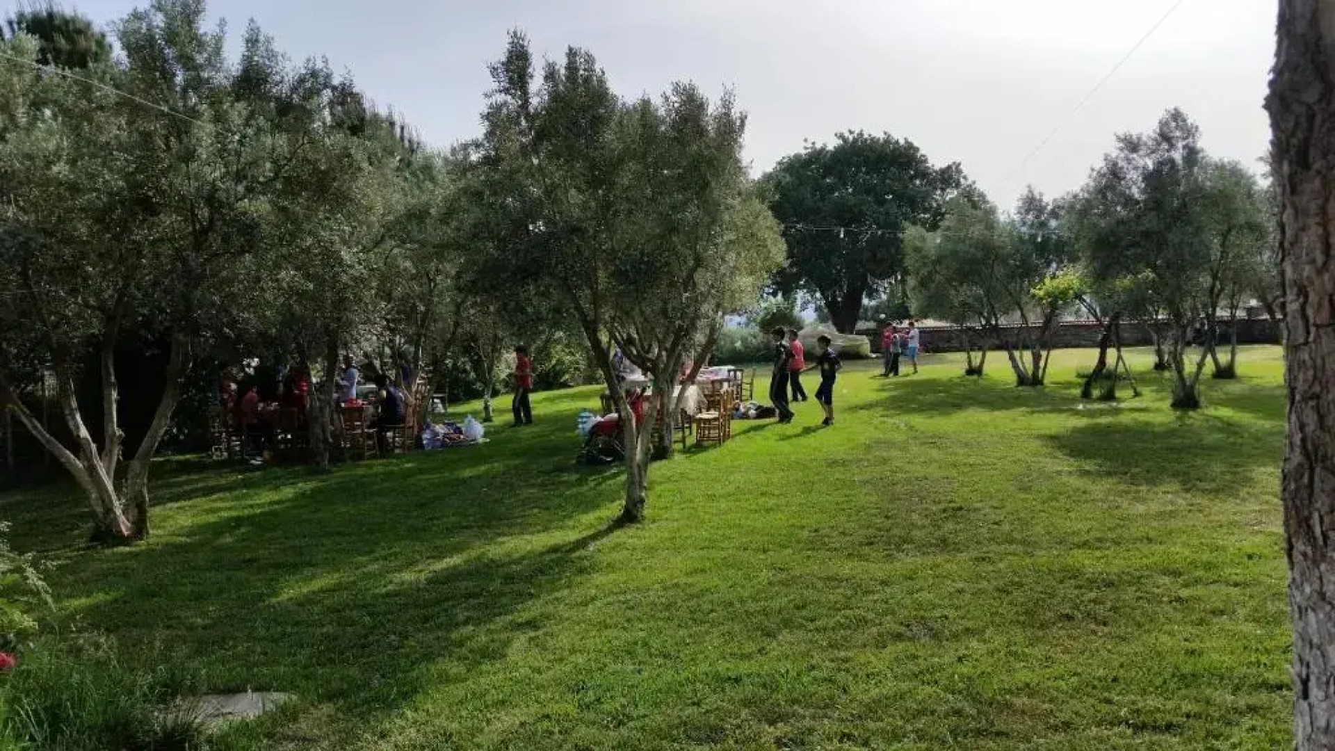 Anatolia Hotel Geyre Karacasu Aydın (Aphrodisias)