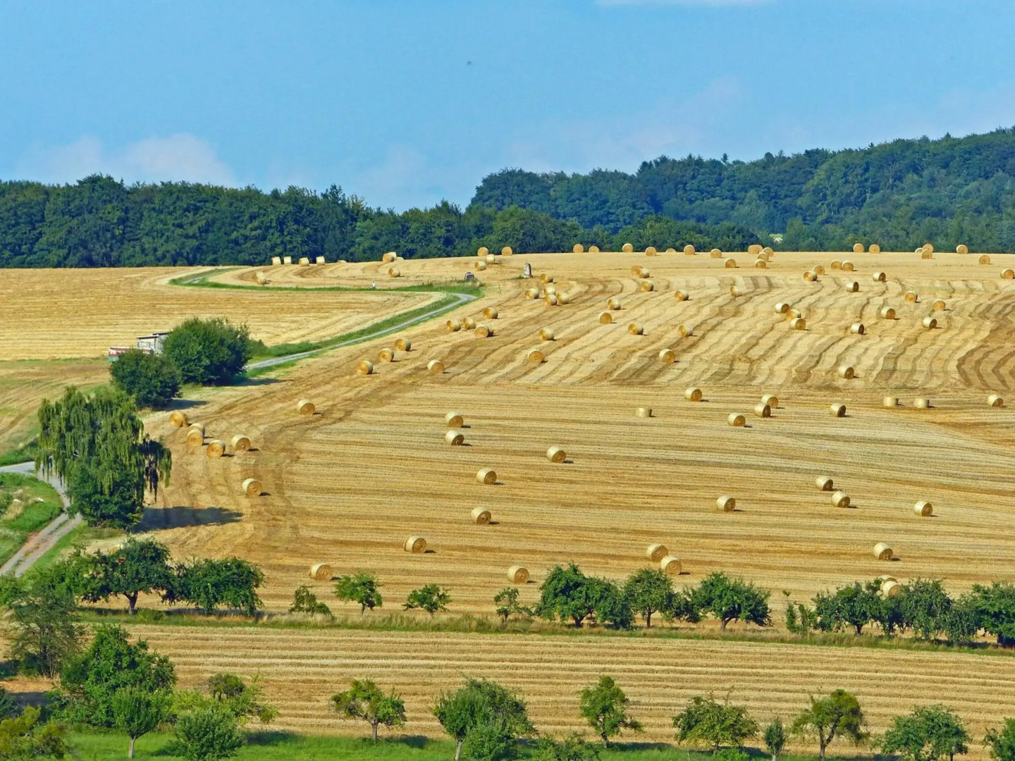 Landgasthof Grüner Baum