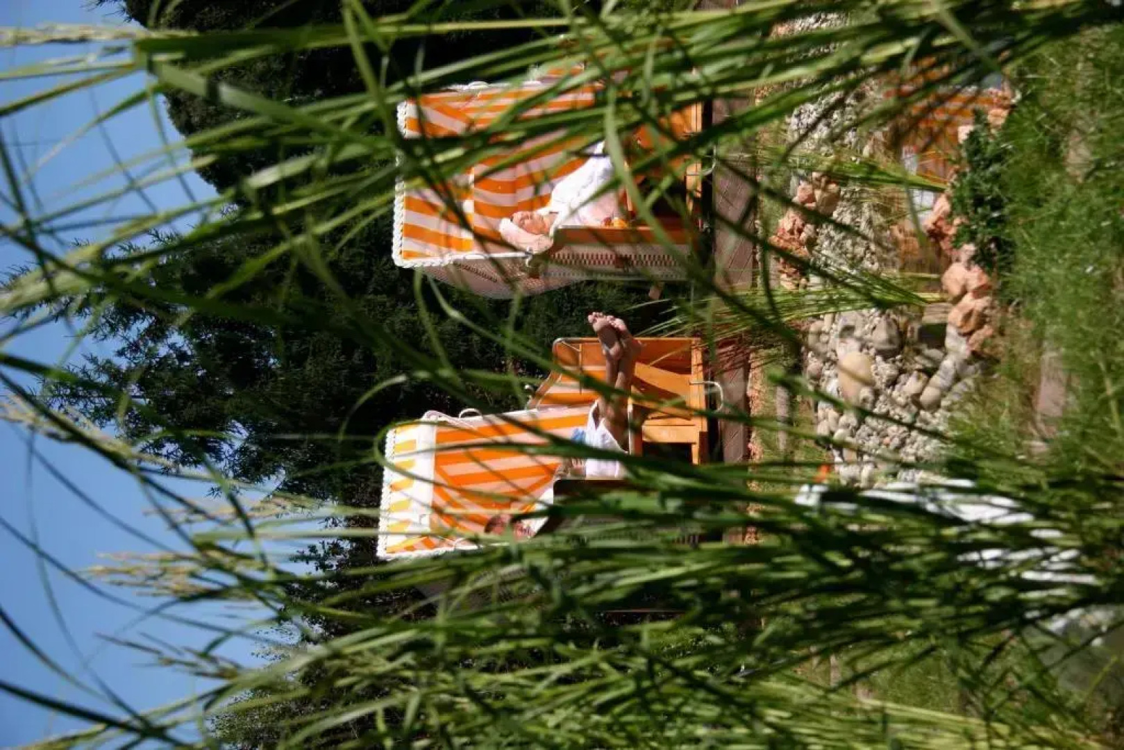 Wiedemanns Weinhotel