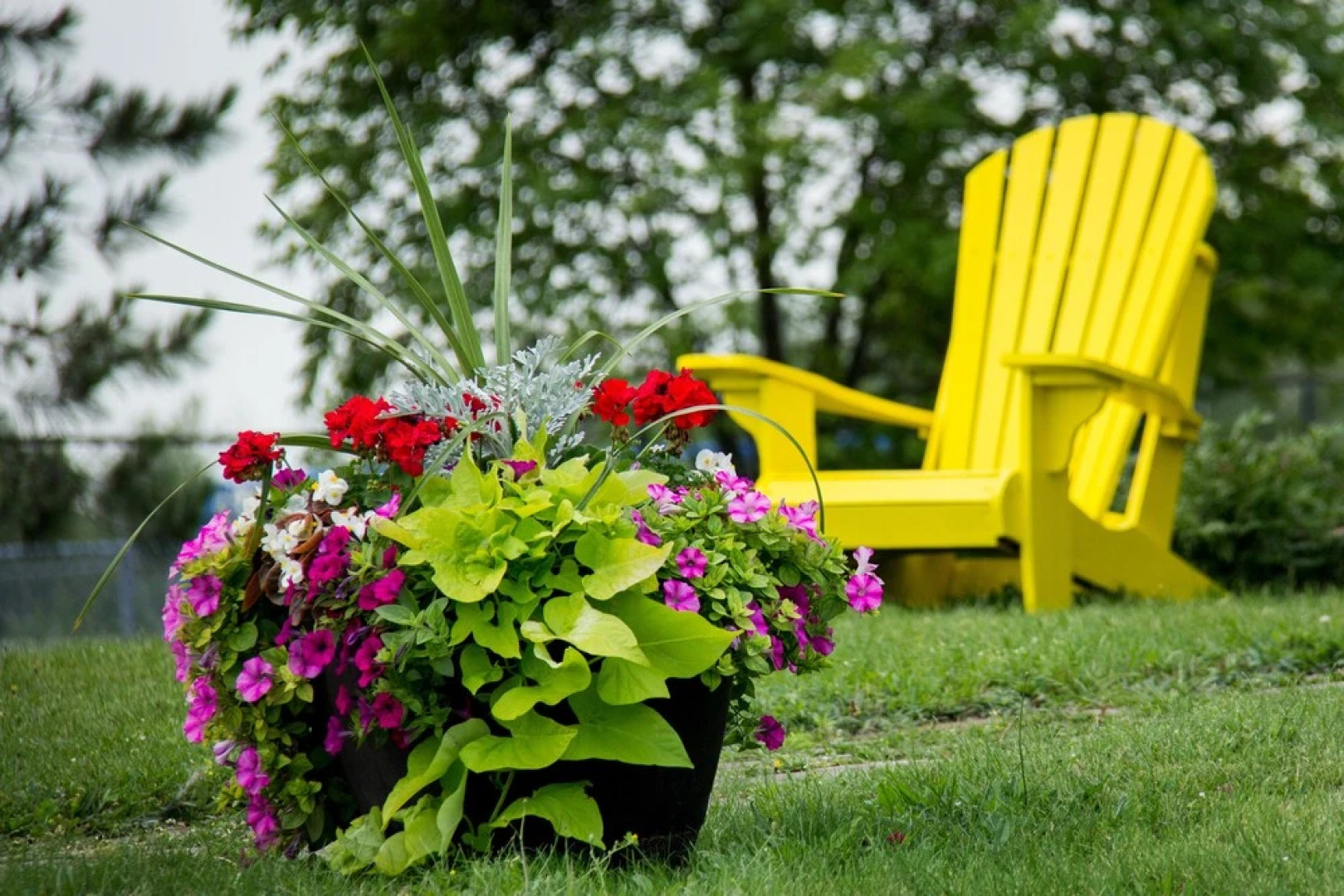 La Maison Mer de Cocagne