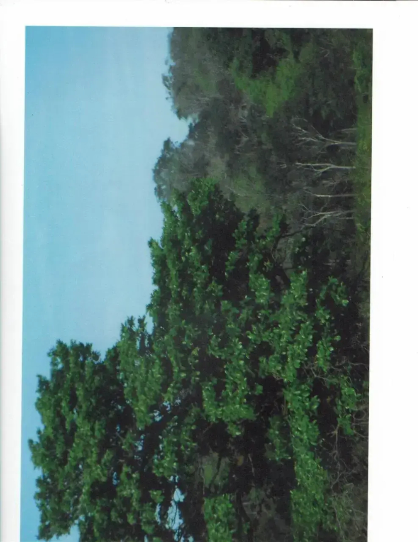 Posada Los Reyecitos